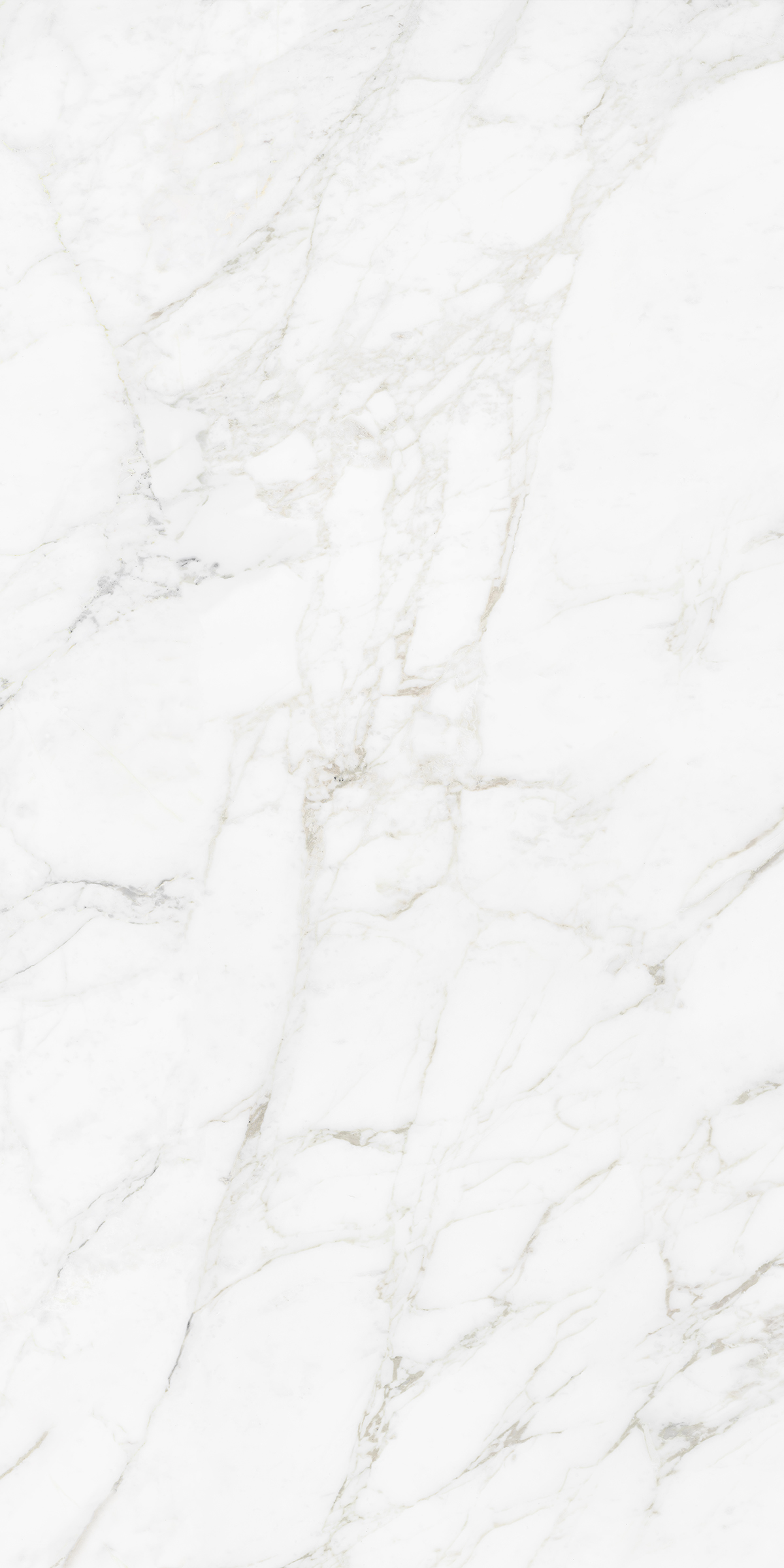 CARRARA BIANCO
