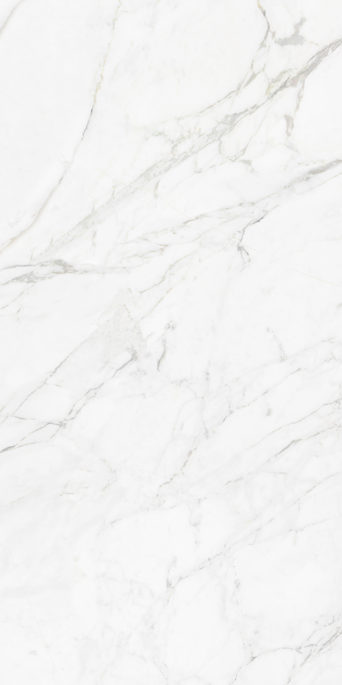 CARRARA BIANCO