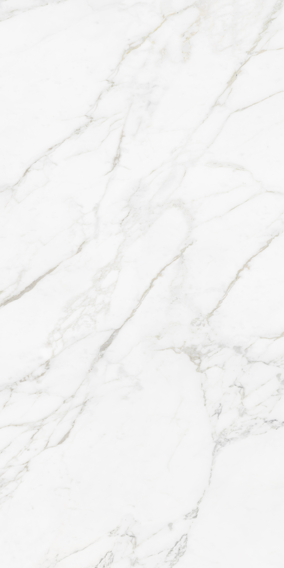 CARRARA BIANCO