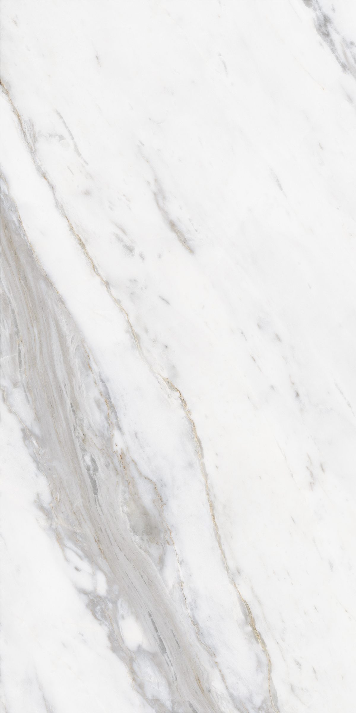 CORTINA GREY