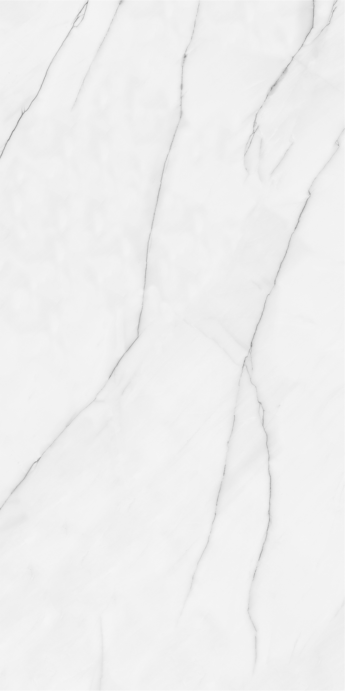 IRIS BLACK