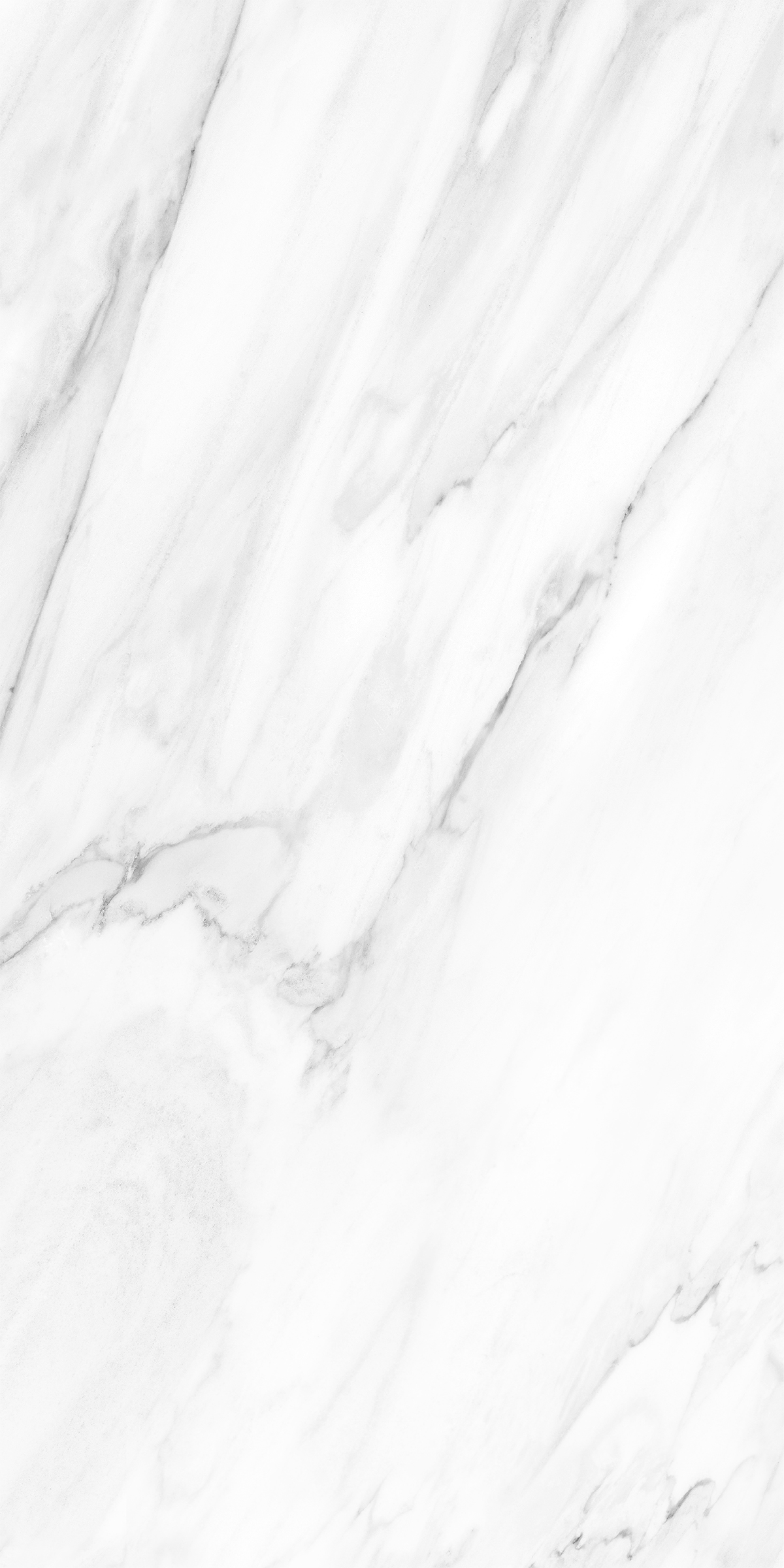 NOVELTY WHITE