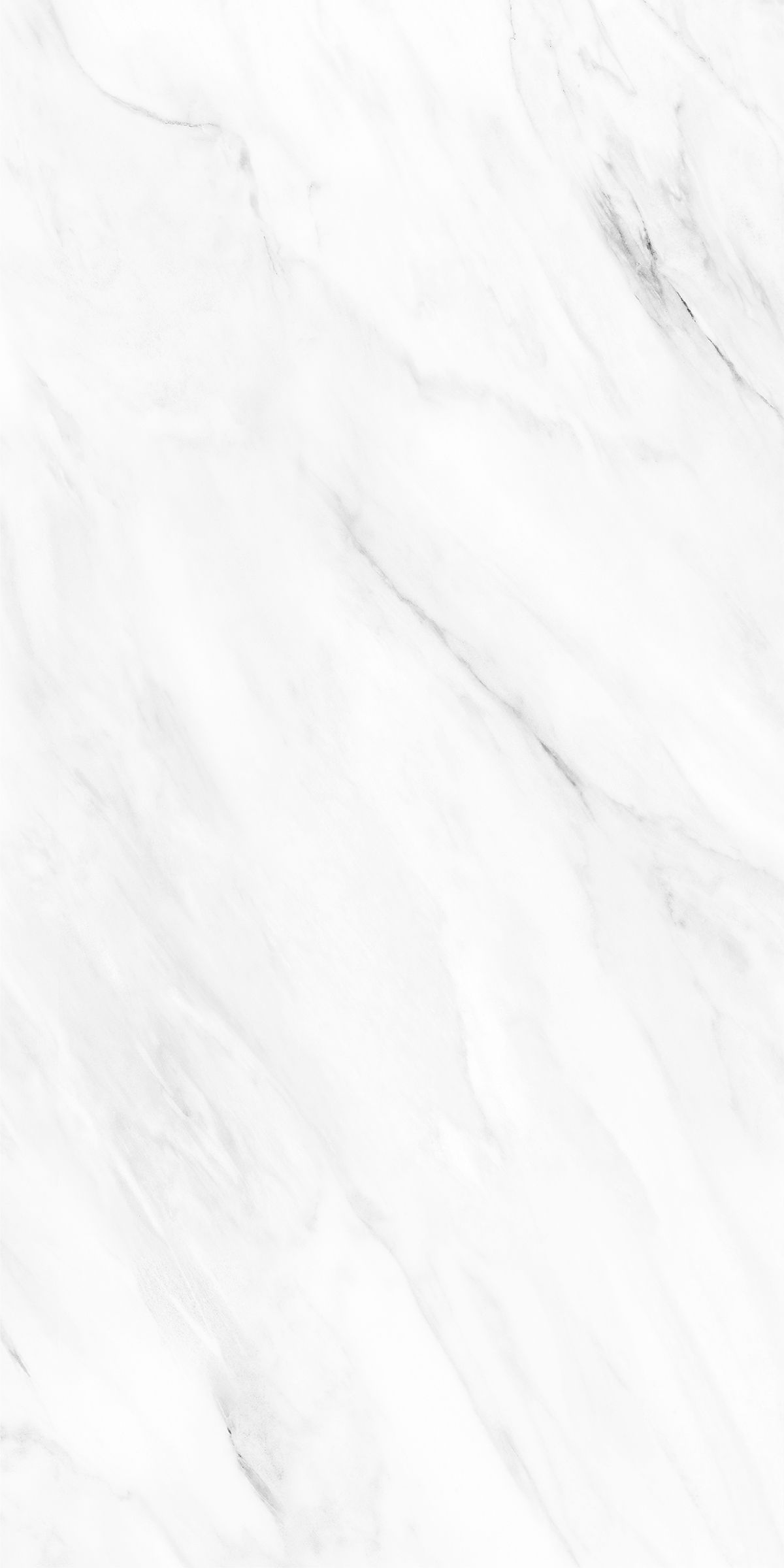 NOVELTY WHITE