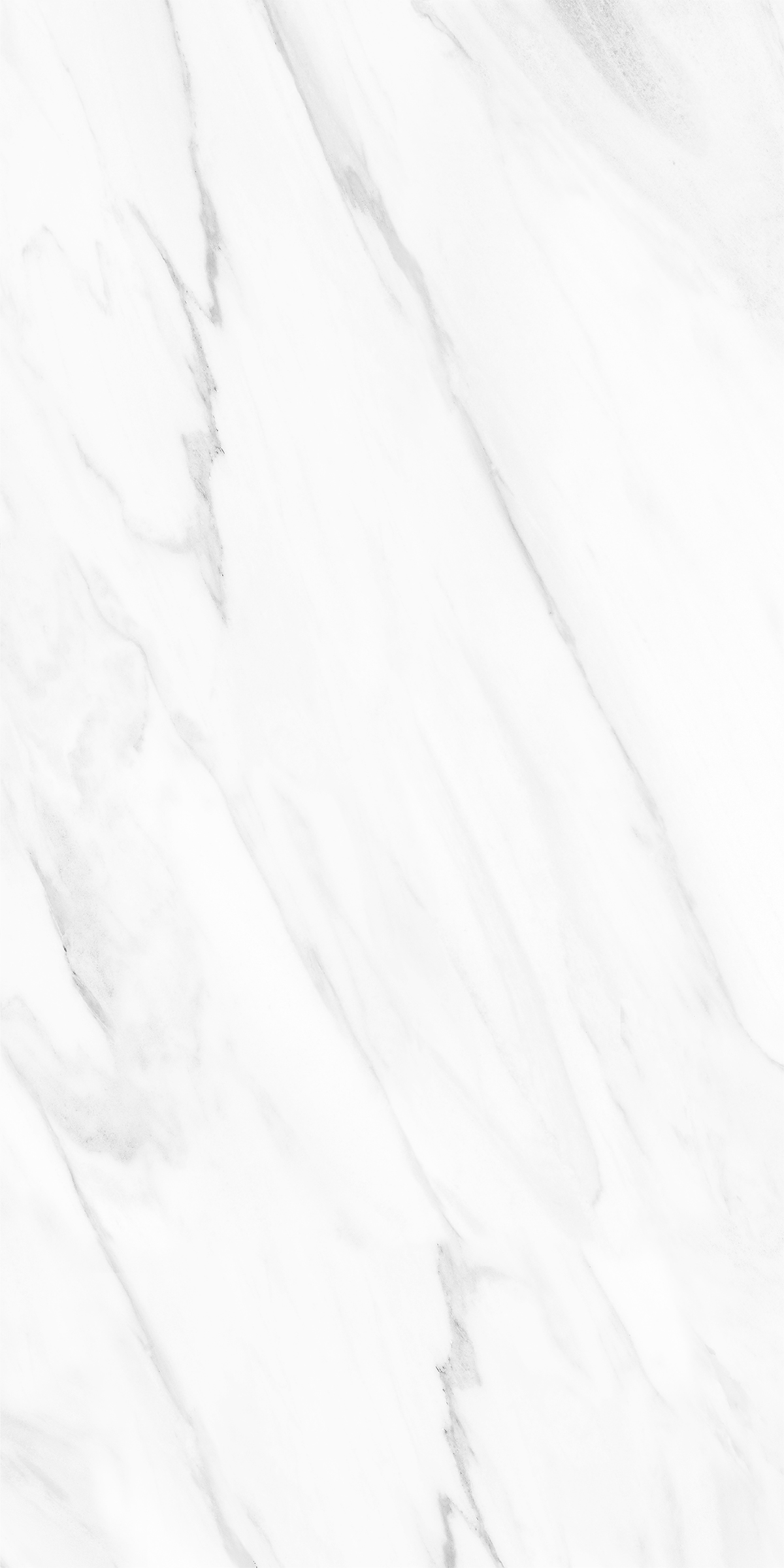 NOVELTY WHITE