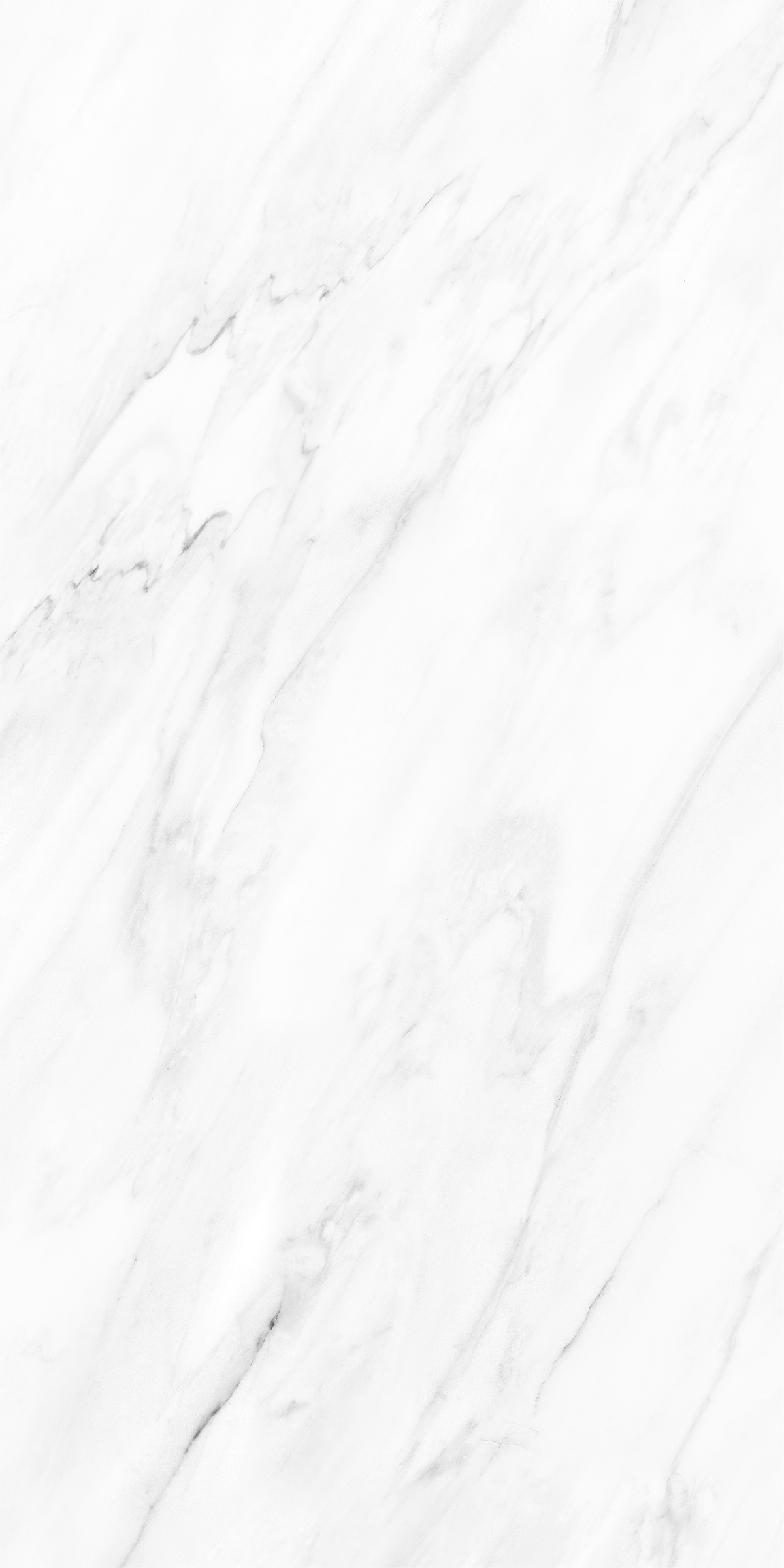 NOVELTY WHITE