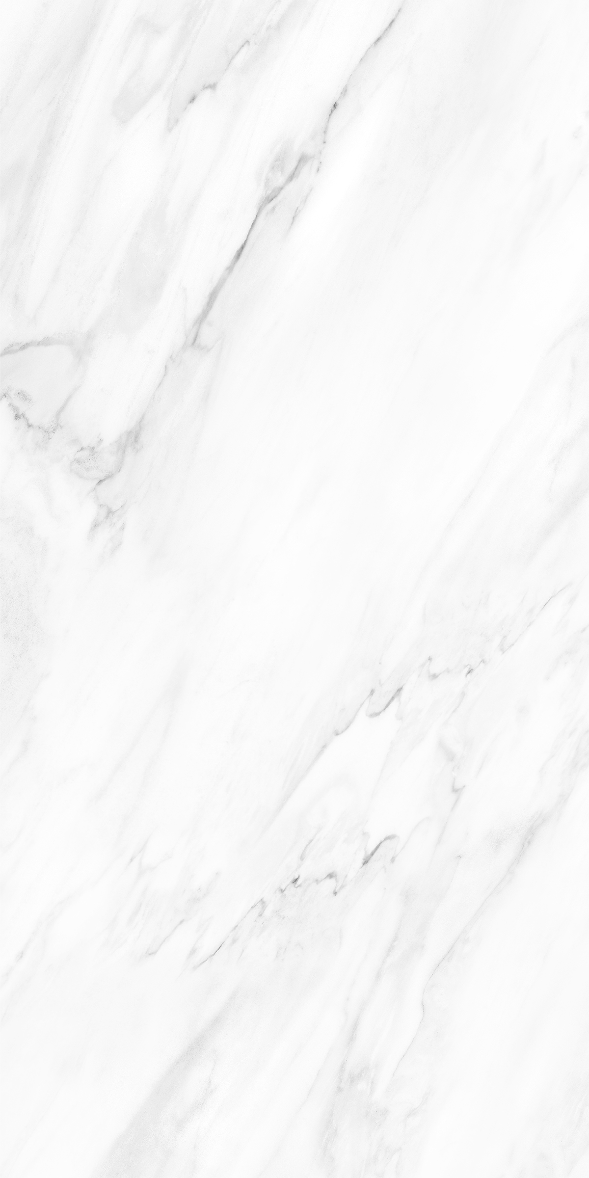 NOVELTY WHITE