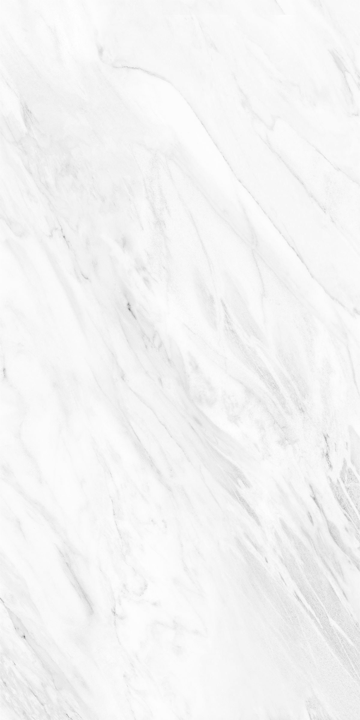 NOVELTY WHITE