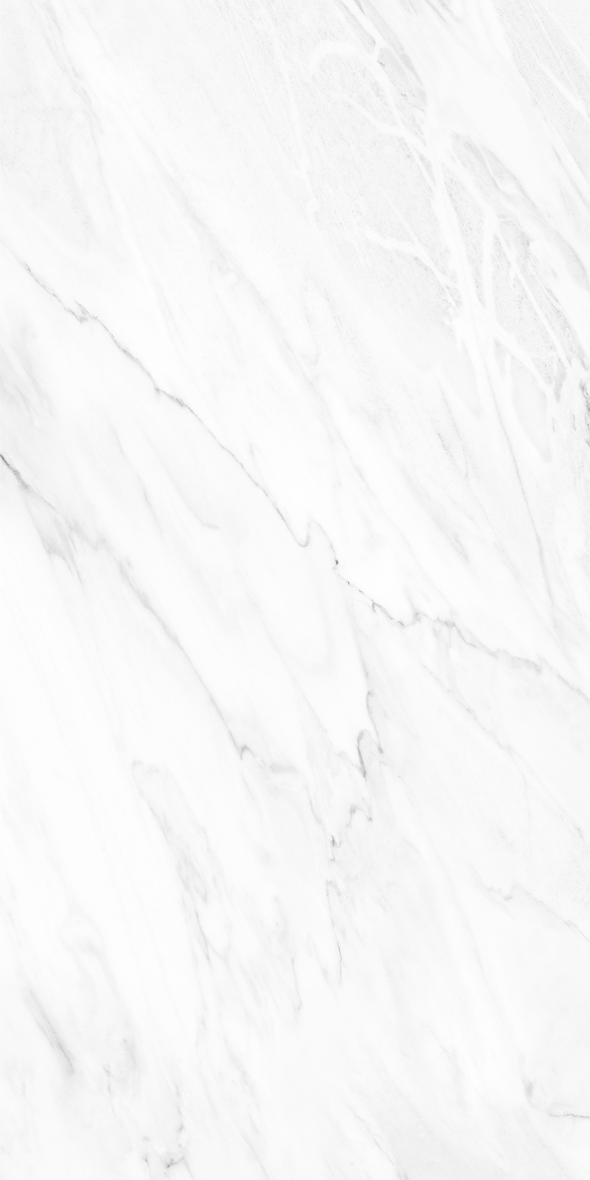 NOVELTY WHITE