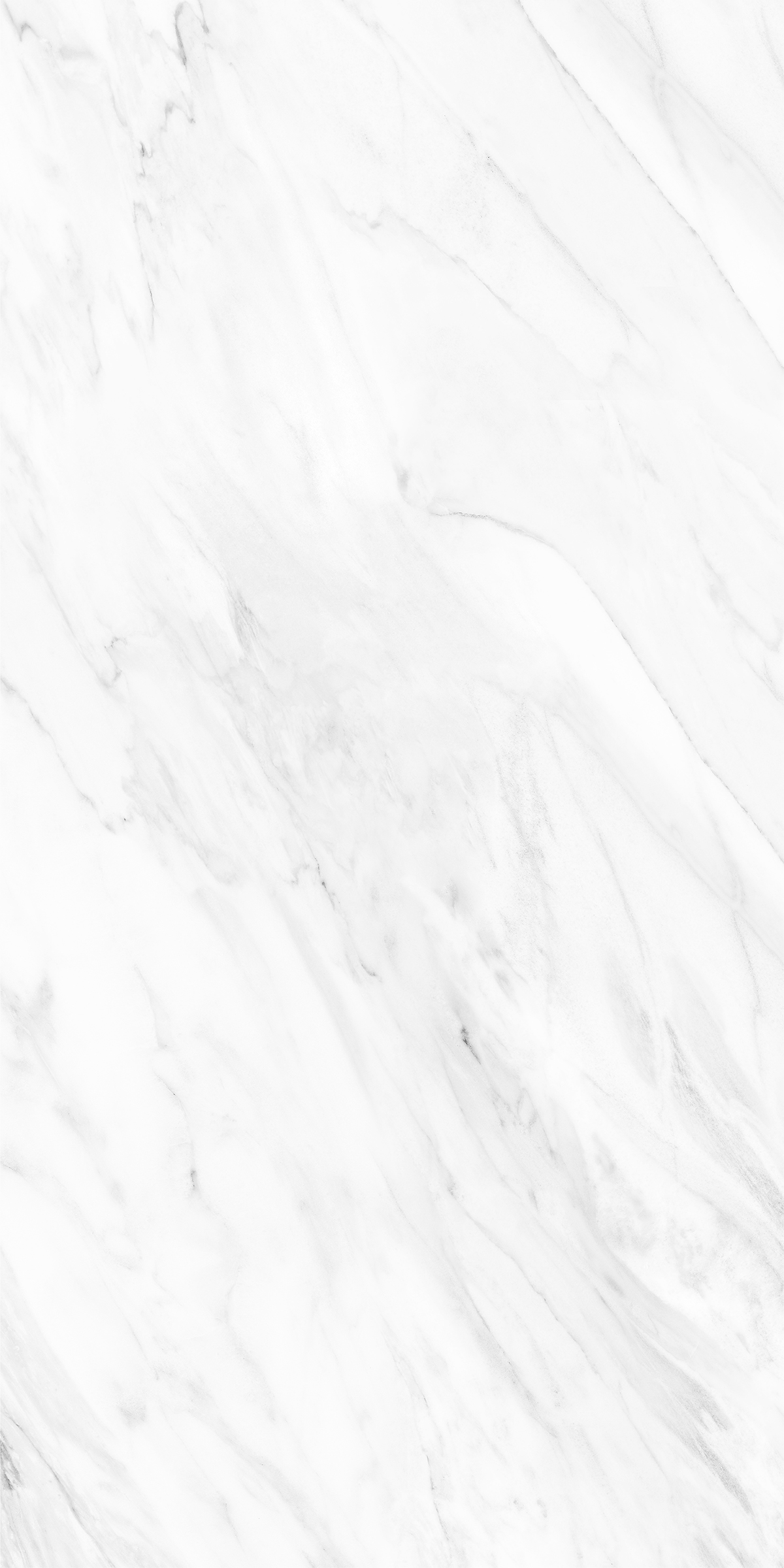 NOVELTY WHITE