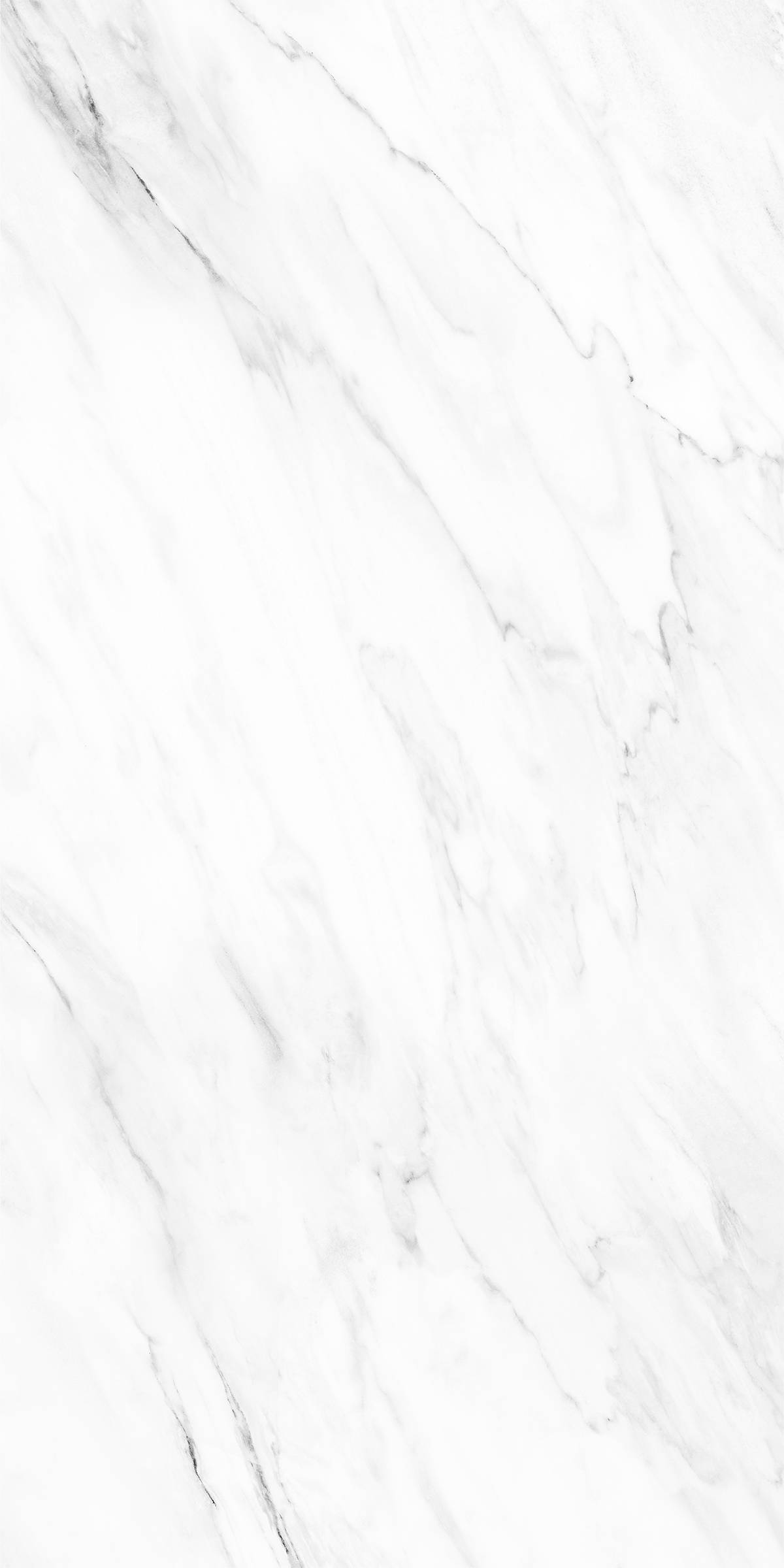 NOVELTY WHITE
