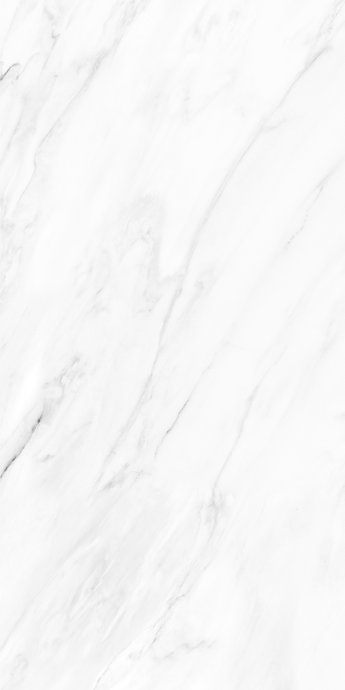 NOVELTY WHITE