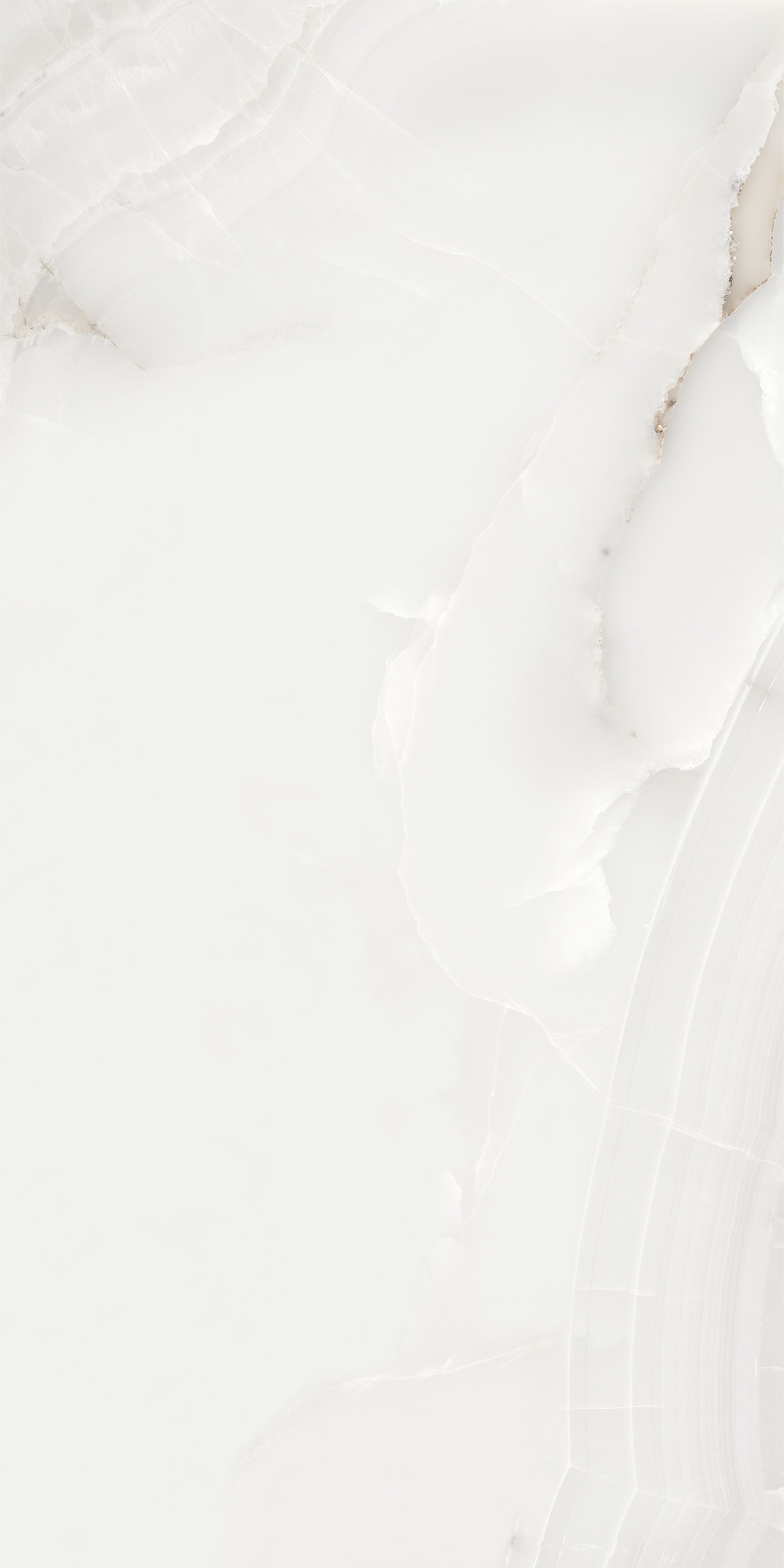 SNOW ONYX