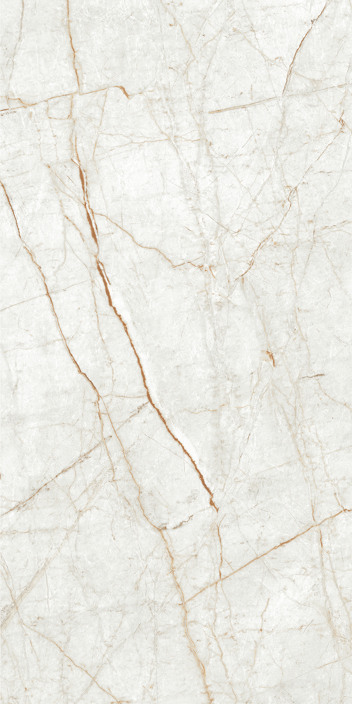 ALGARIA OYSTER