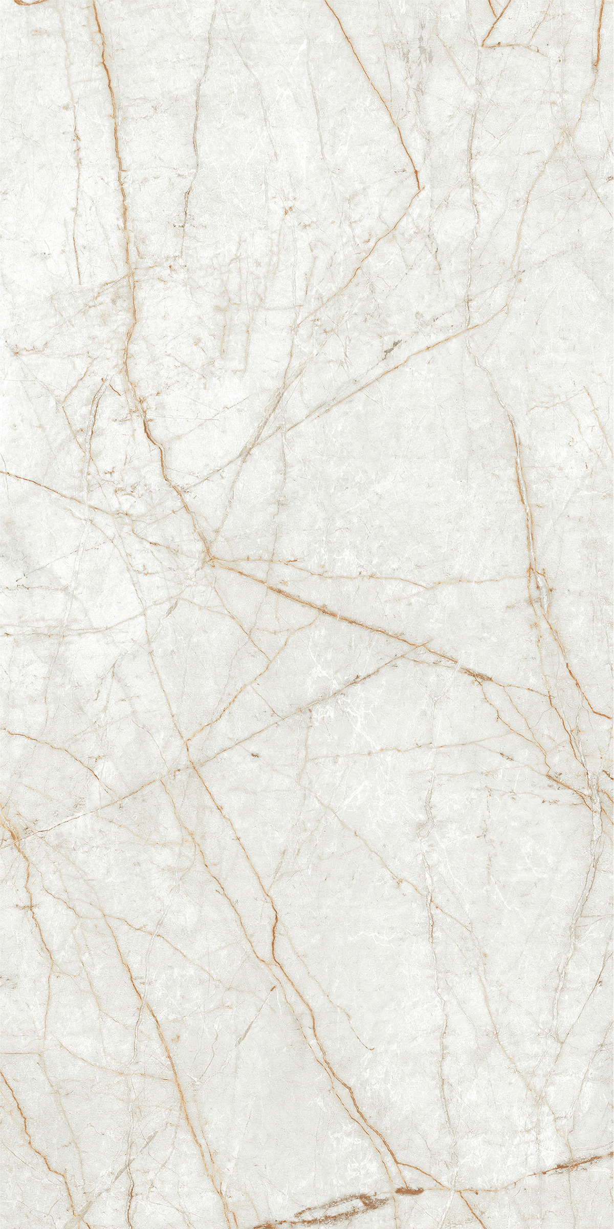 ALGARIA OYSTER