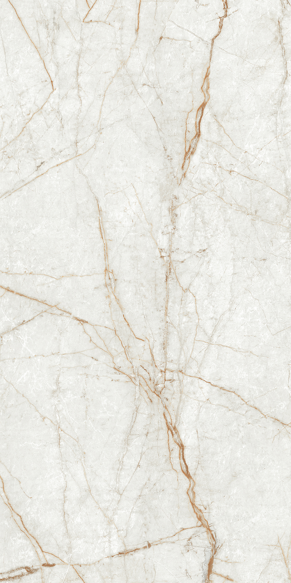 ALGARIA OYSTER