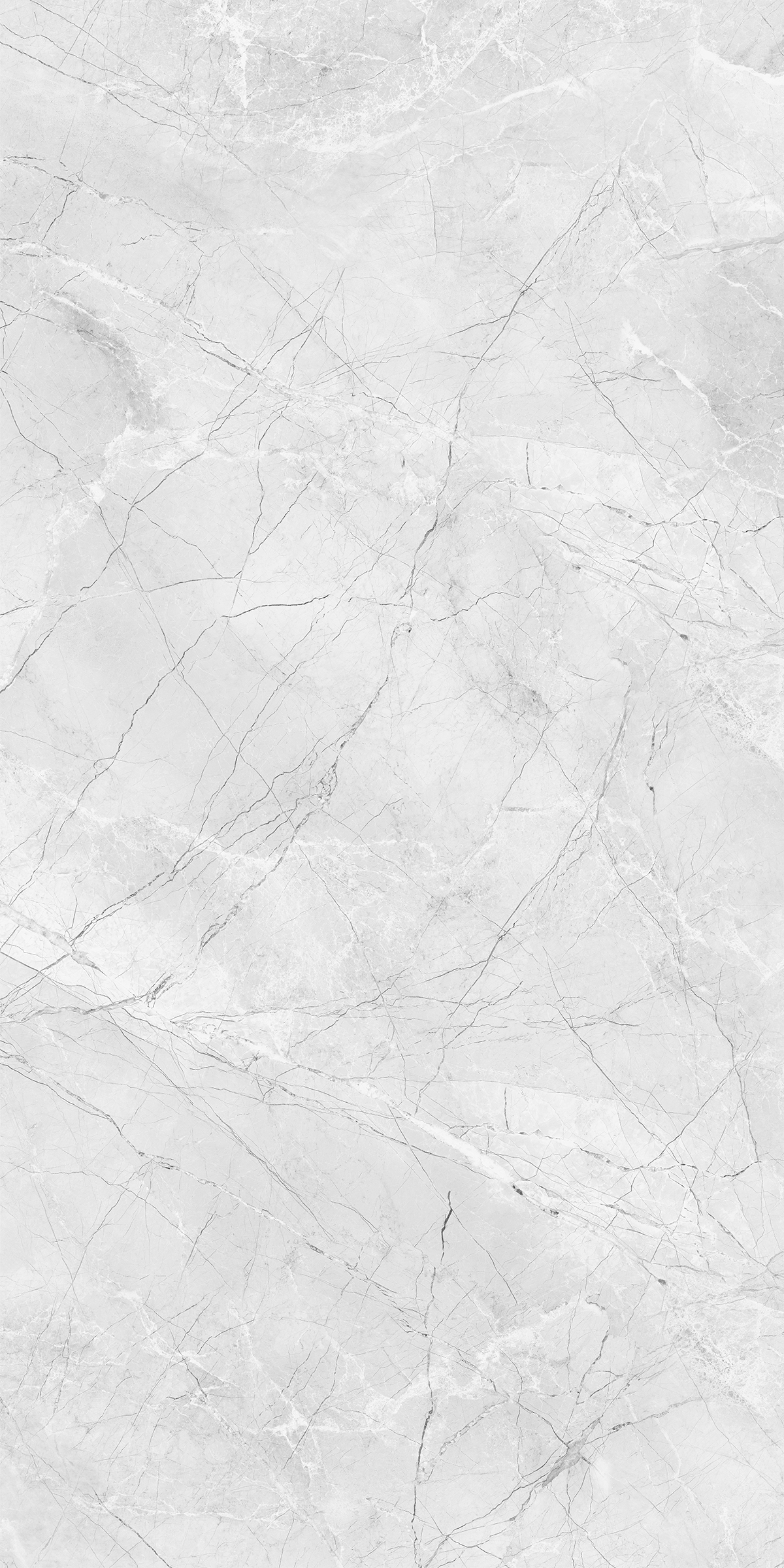 AMORINI BIANCO
