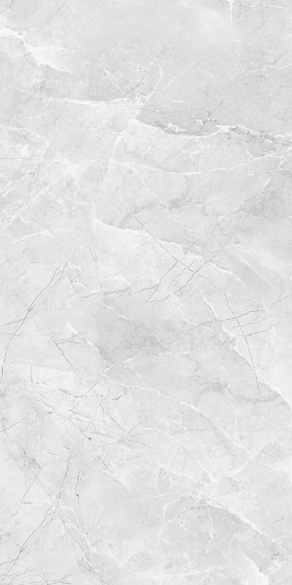 AMORINI BIANCO