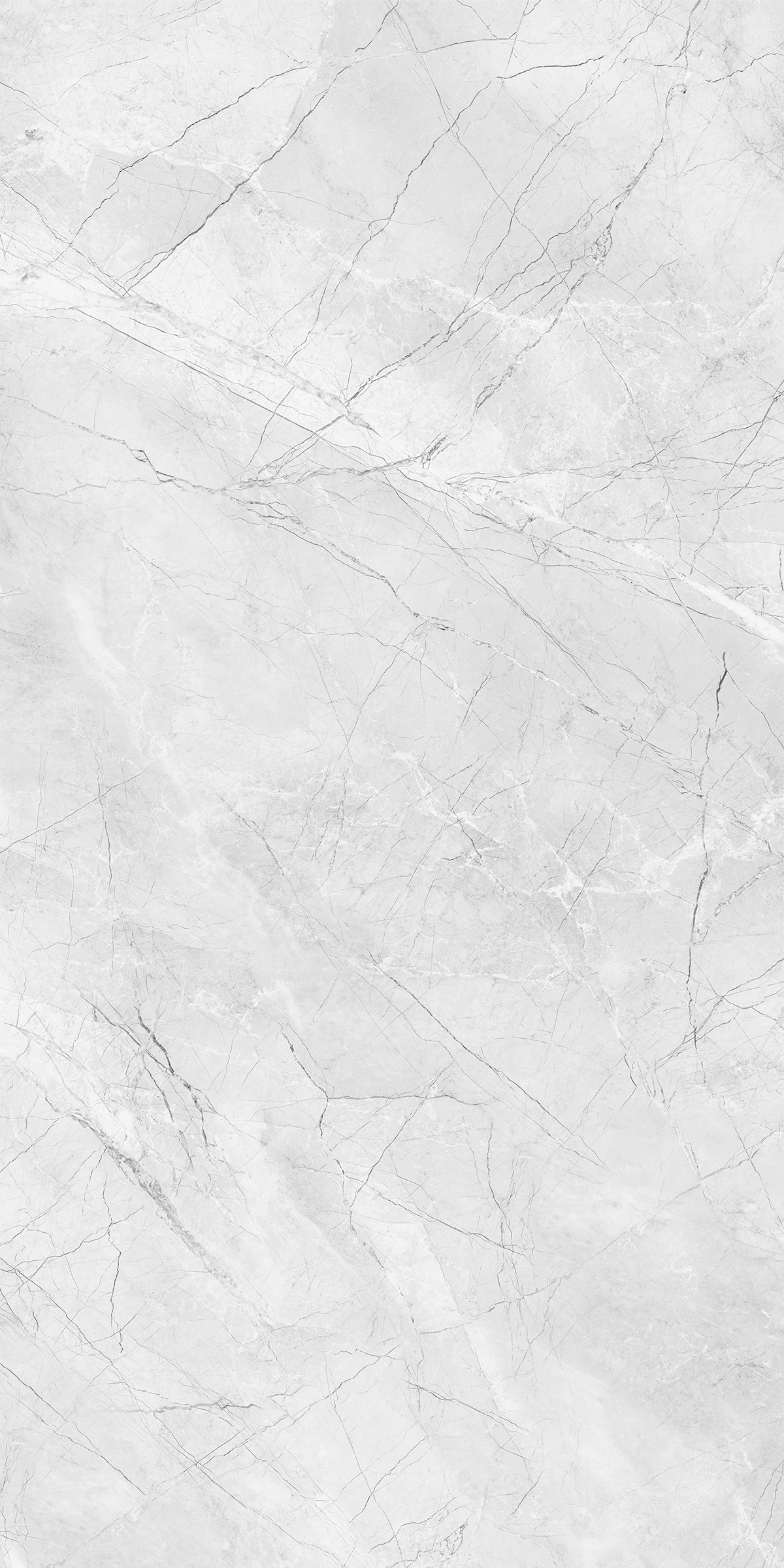 AMORINI BIANCO