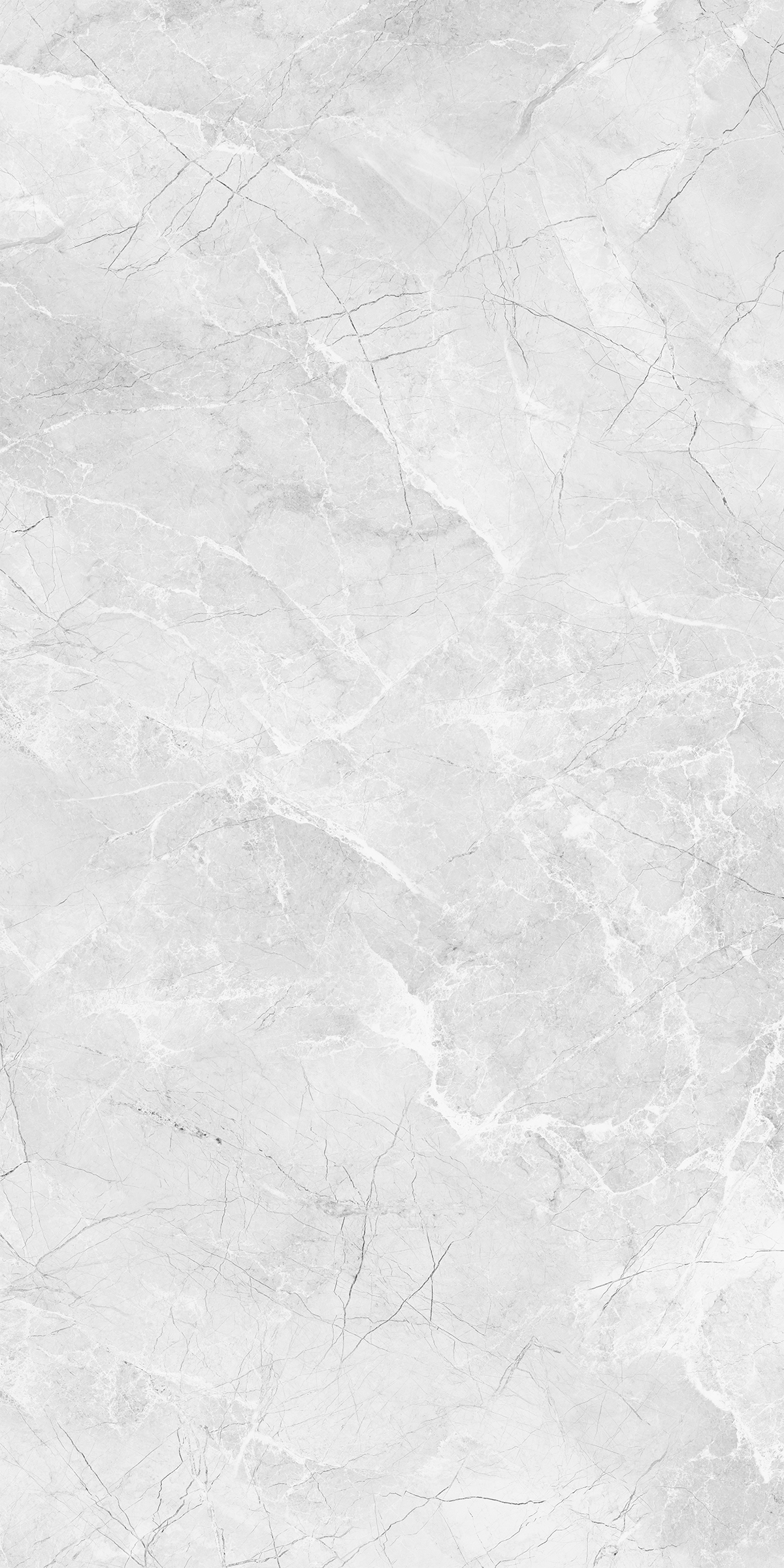 AMORINI BIANCO