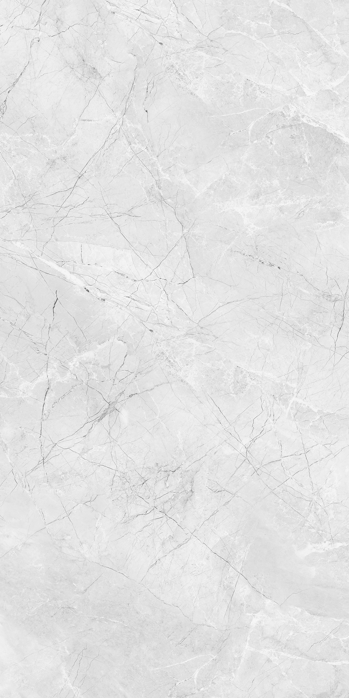 AMORINI BIANCO