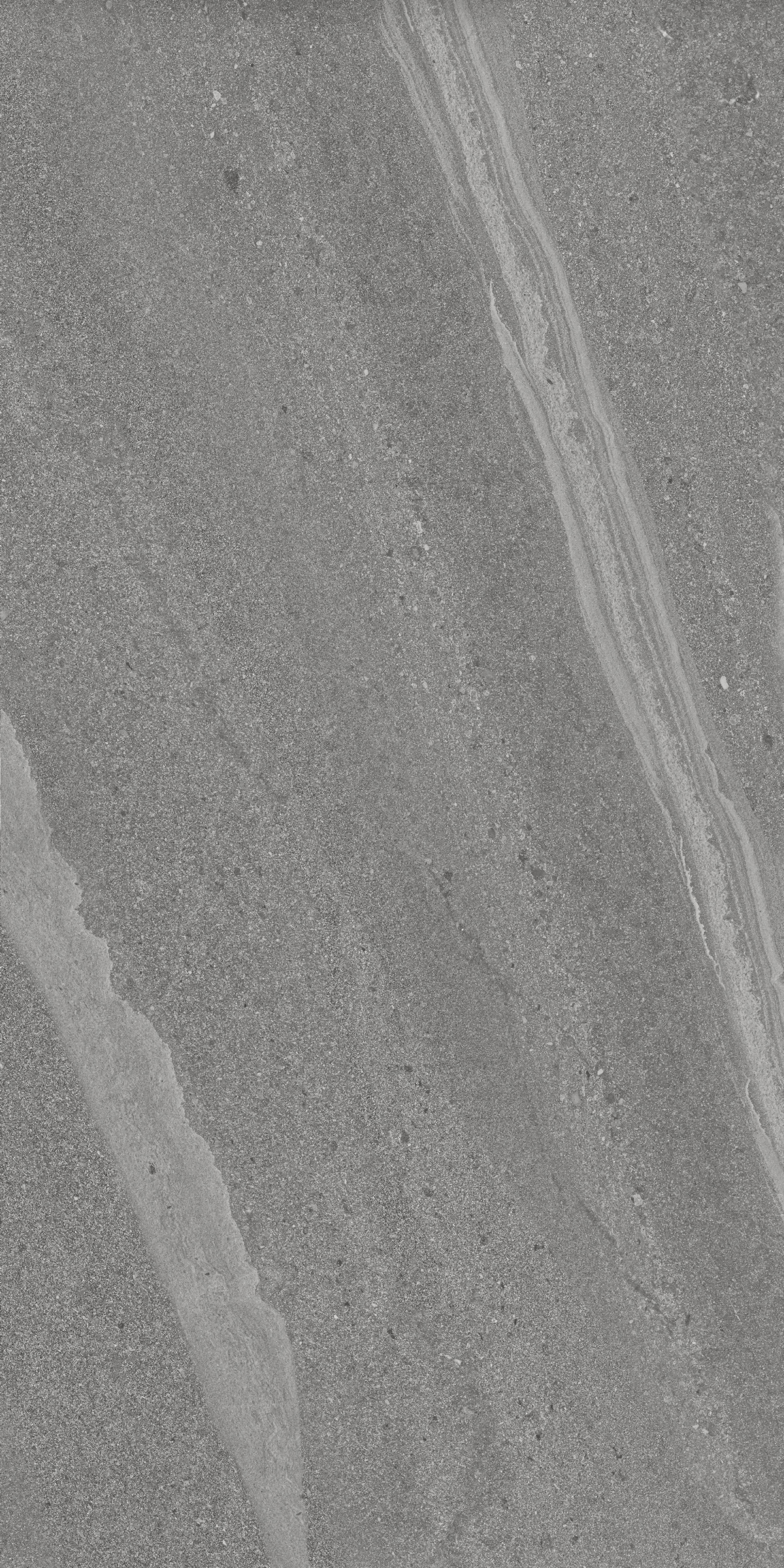 JASPER GREY