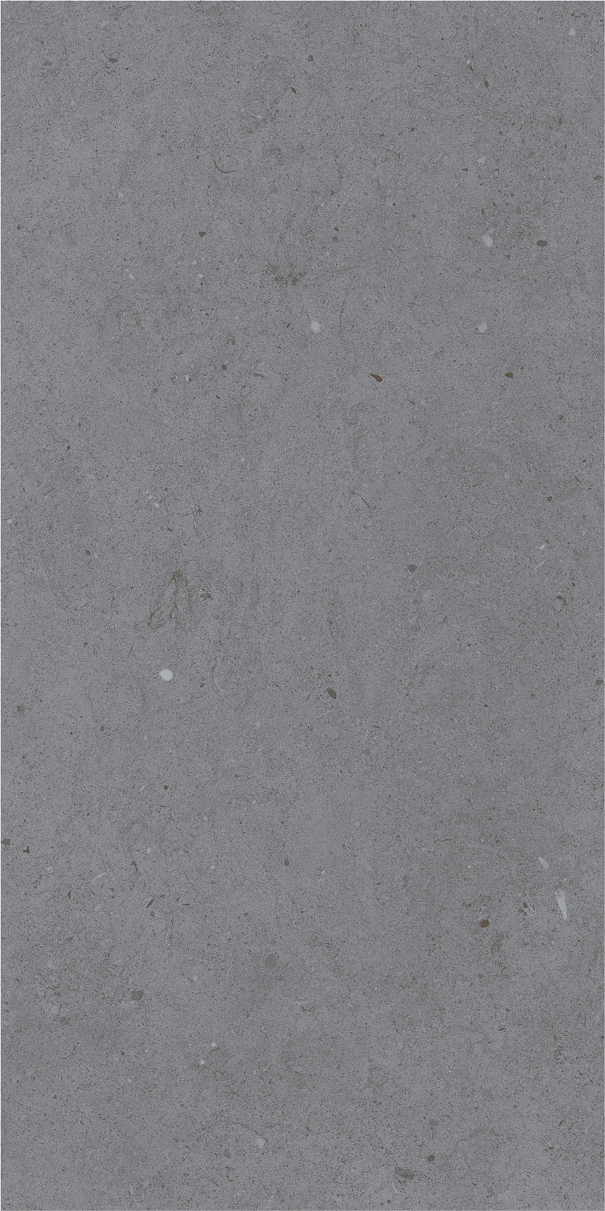 LYON GREY