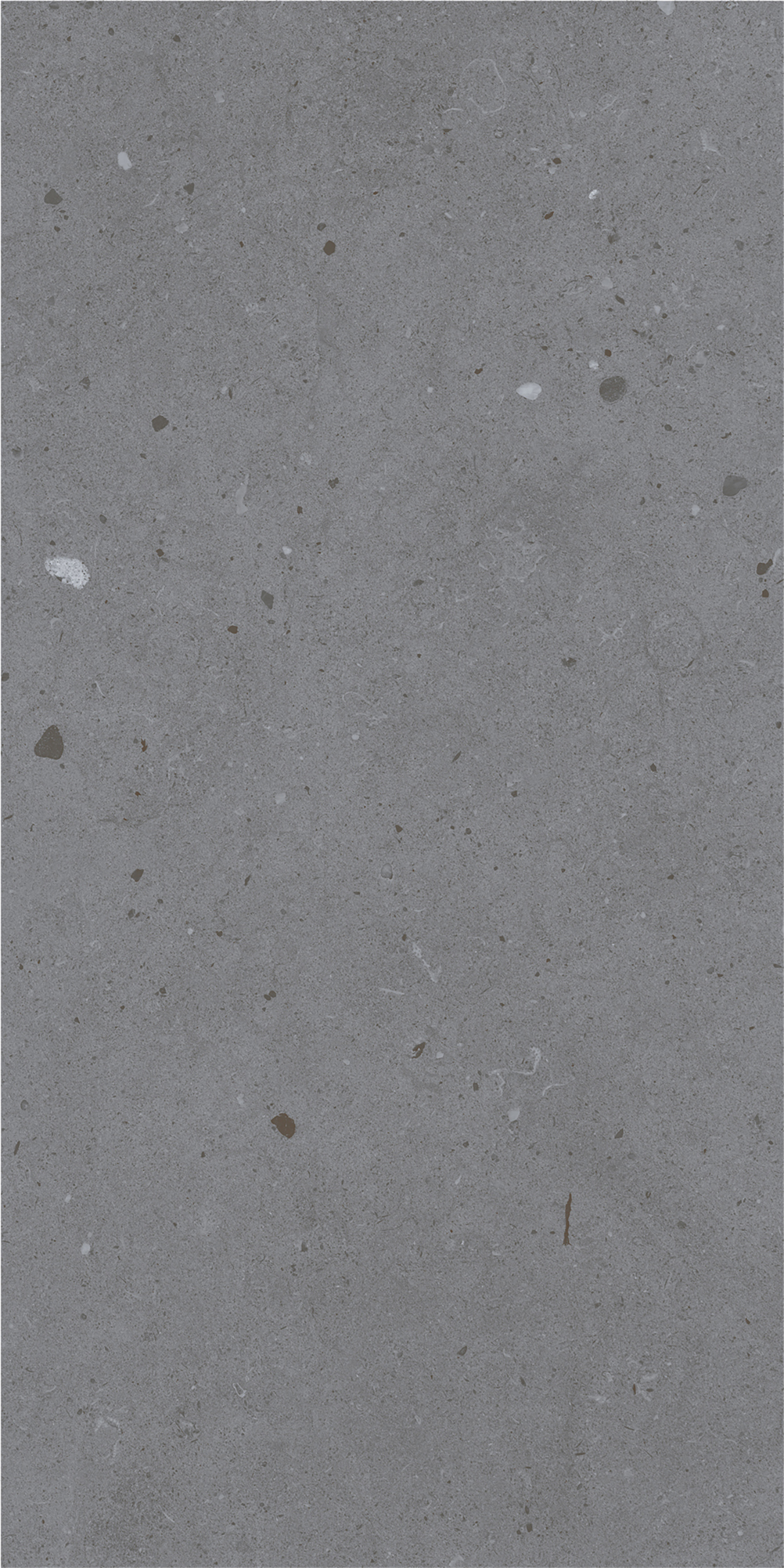 LYON GREY