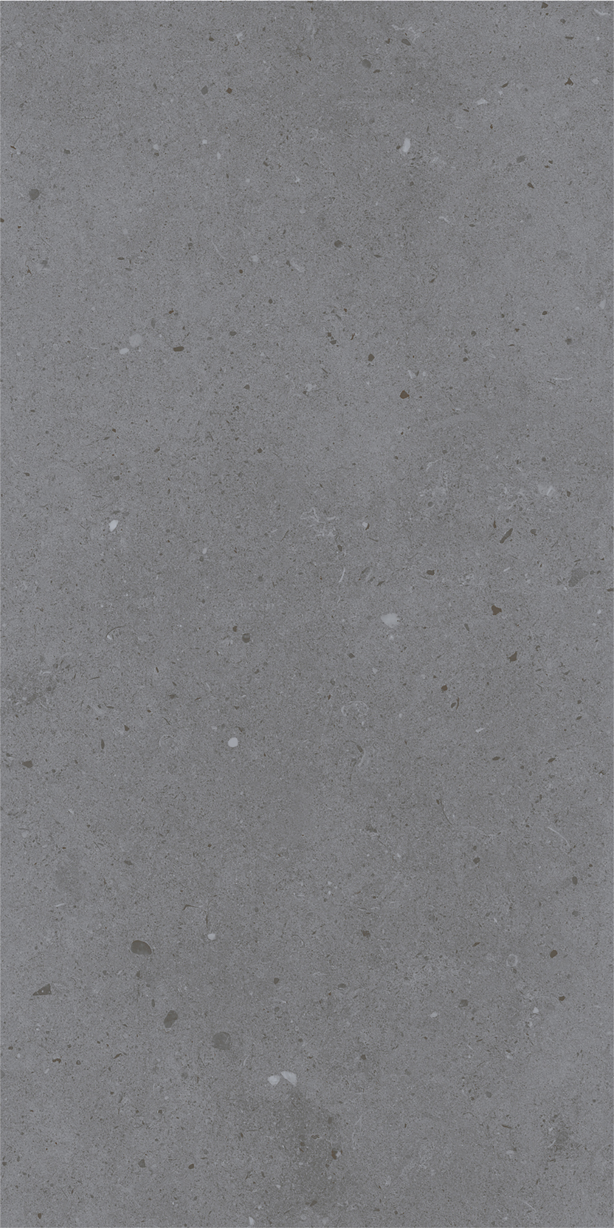 LYON GREY