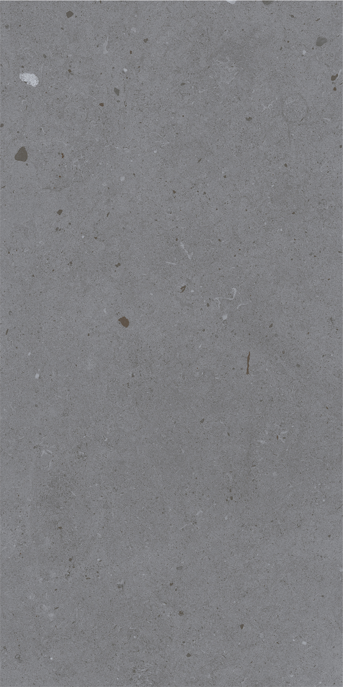 LYON GREY
