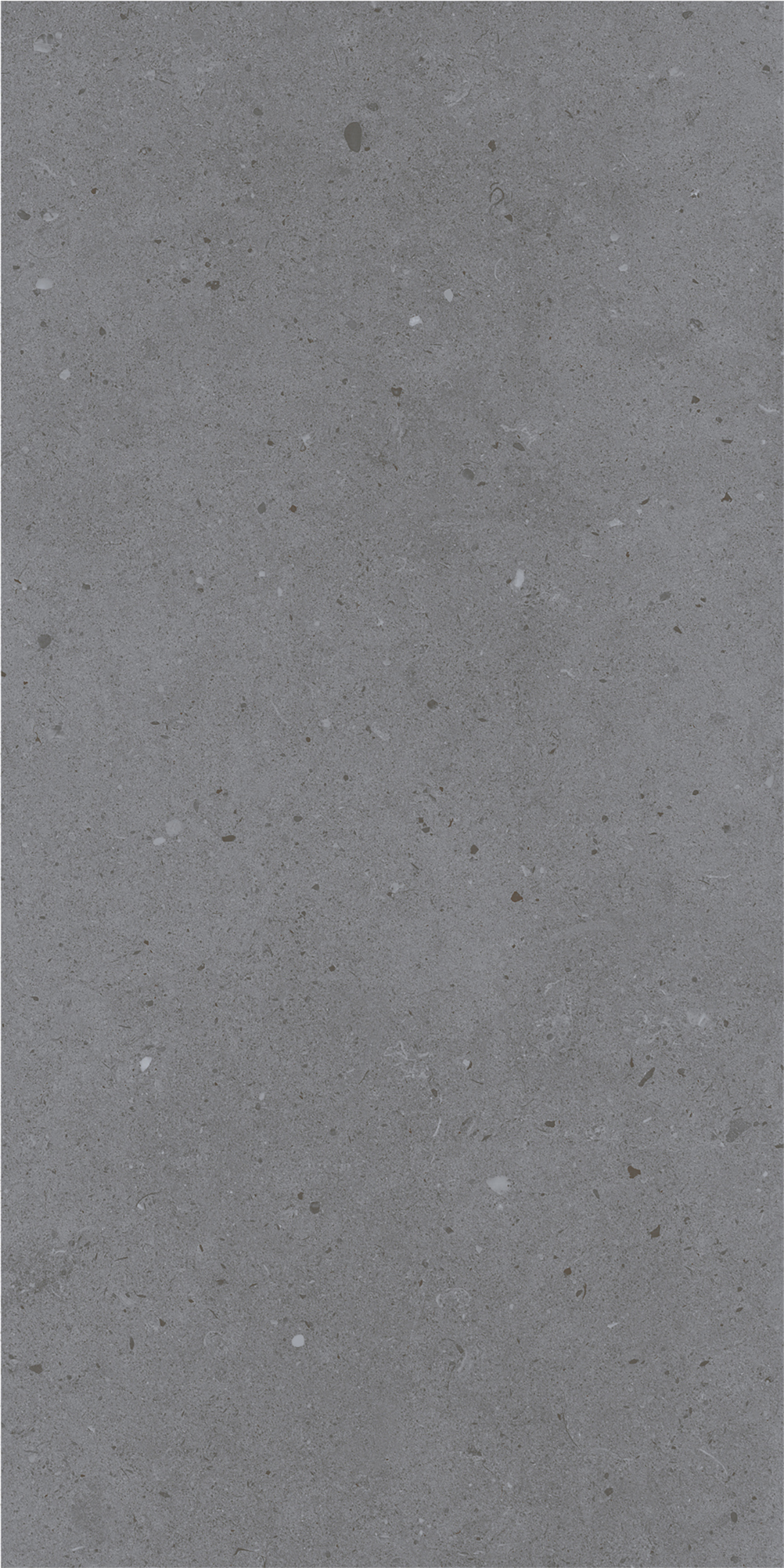 LYON GREY