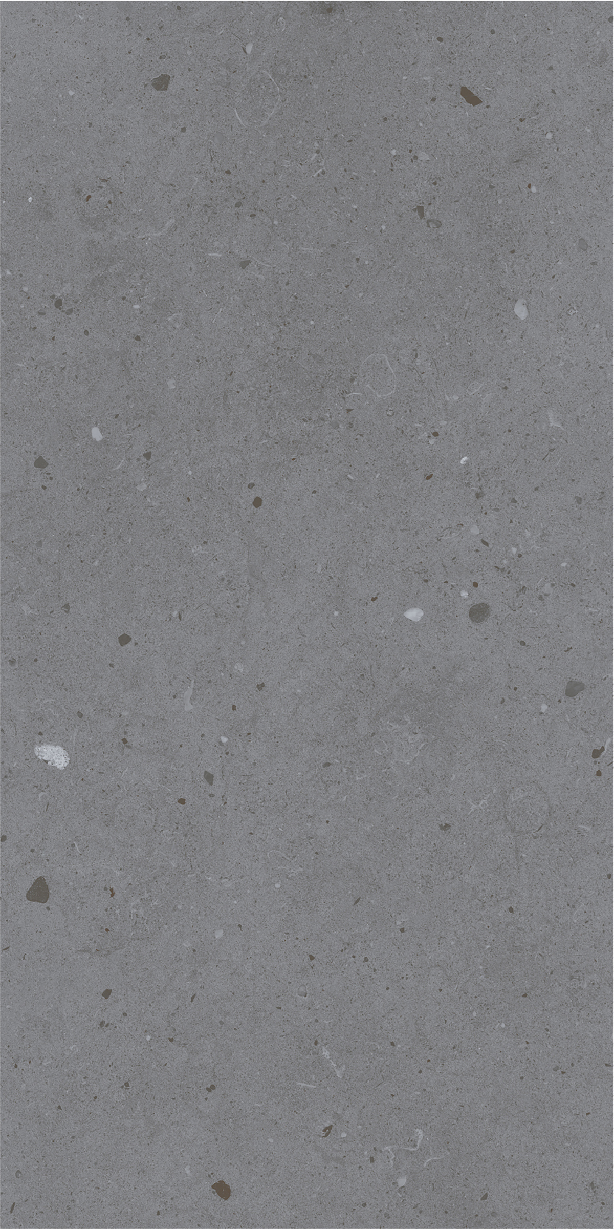 LYON GREY
