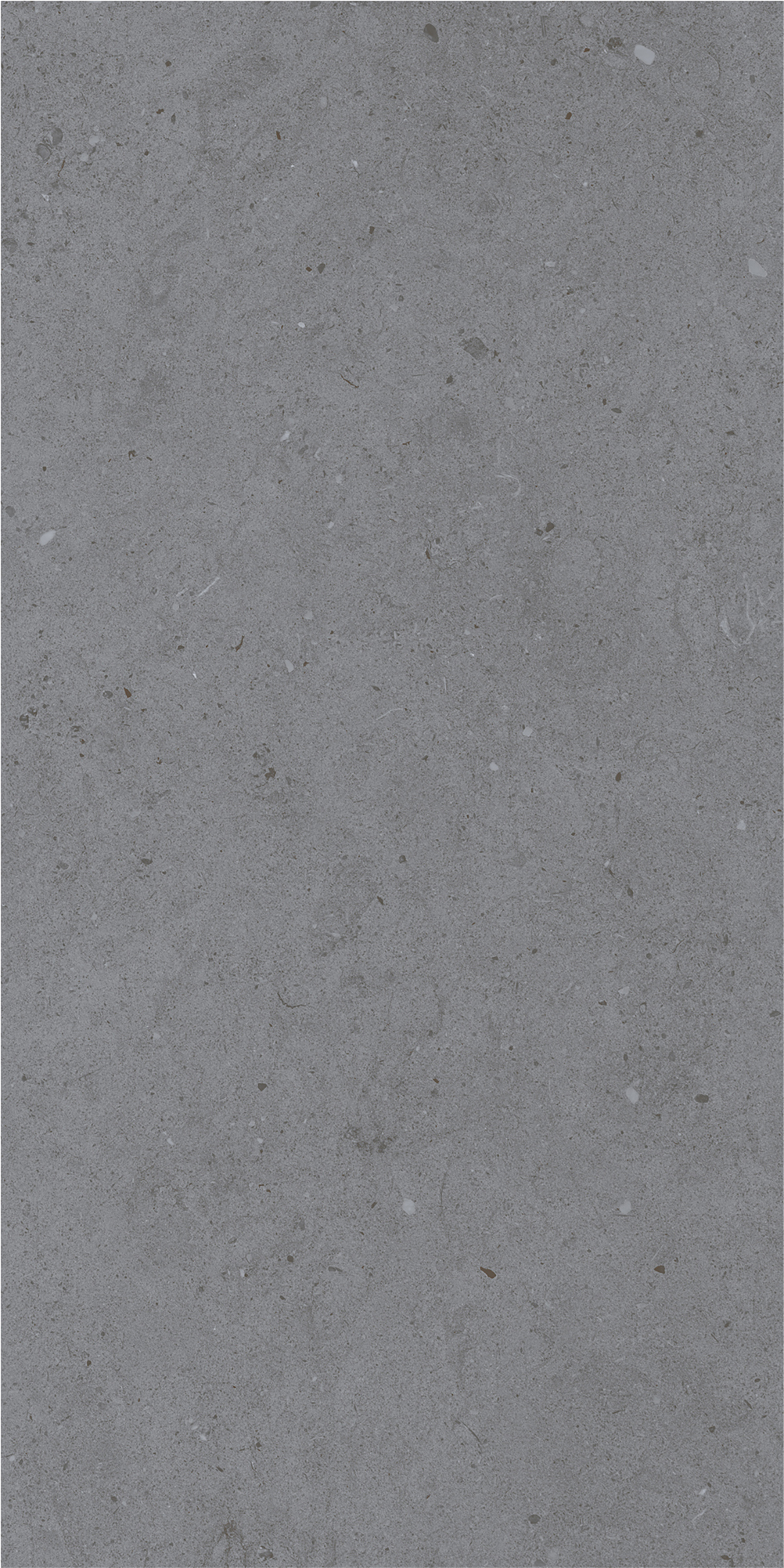 LYON GREY