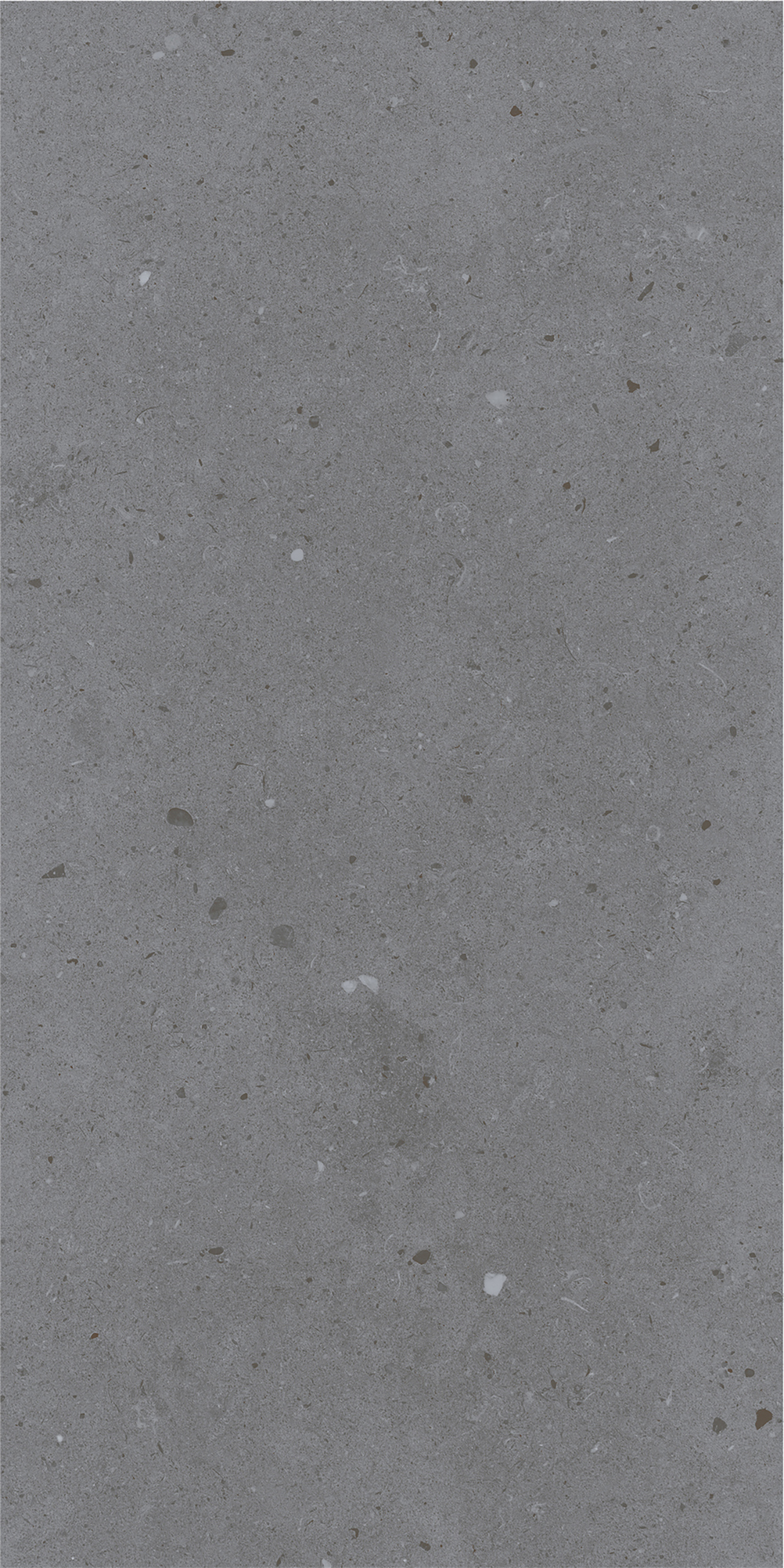 LYON GREY