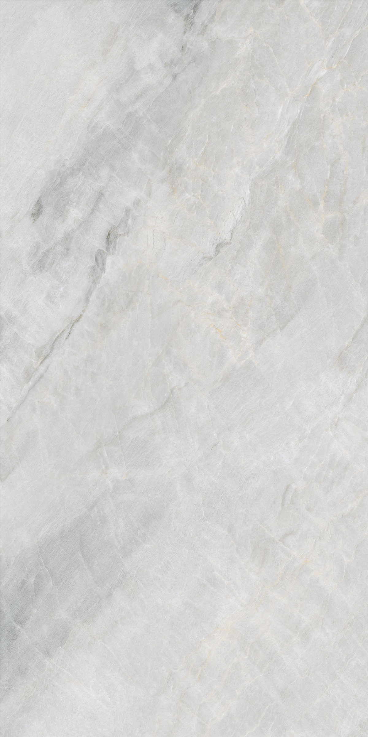 PASSION GRIS