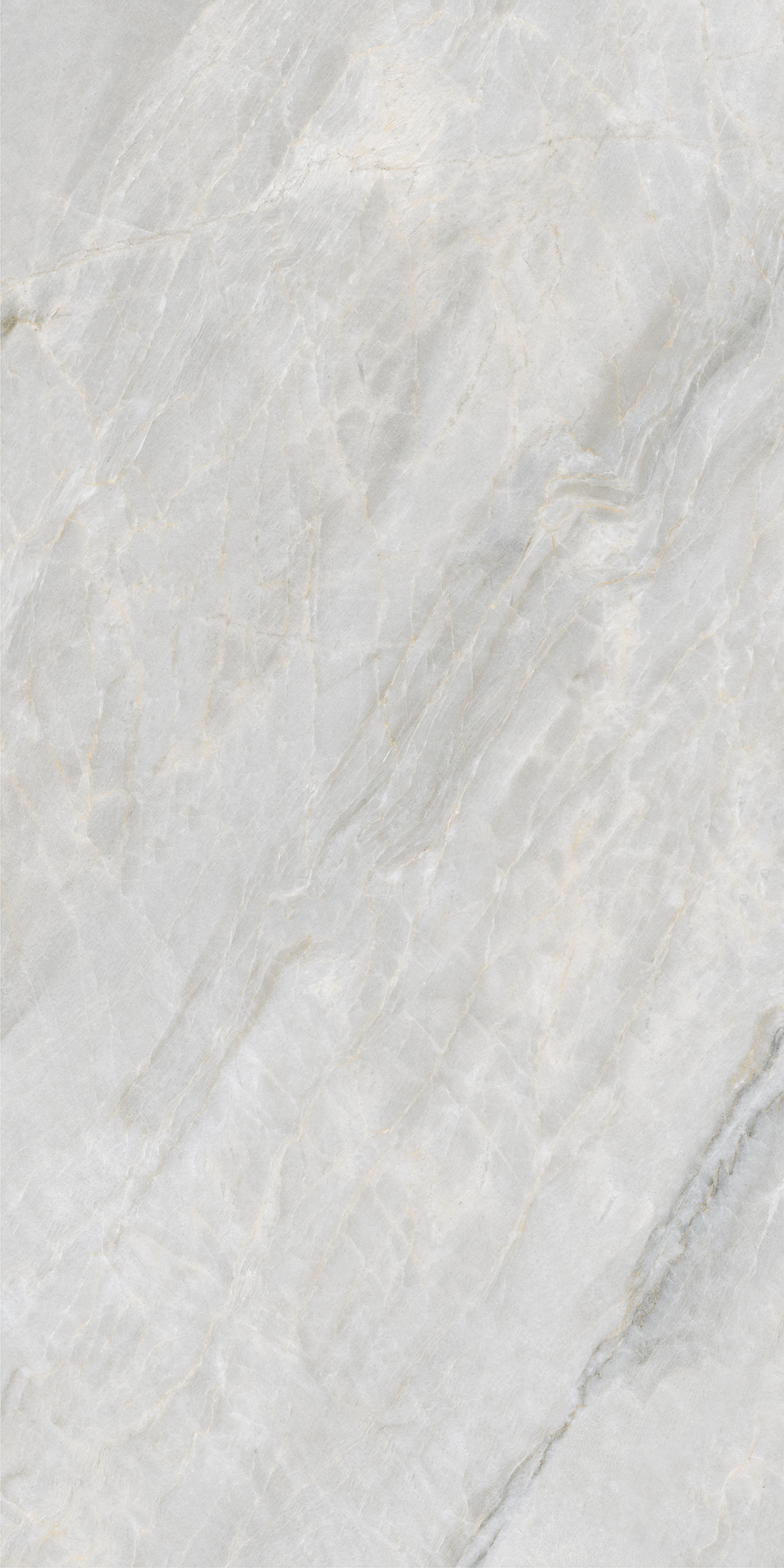 PASSION GRIS