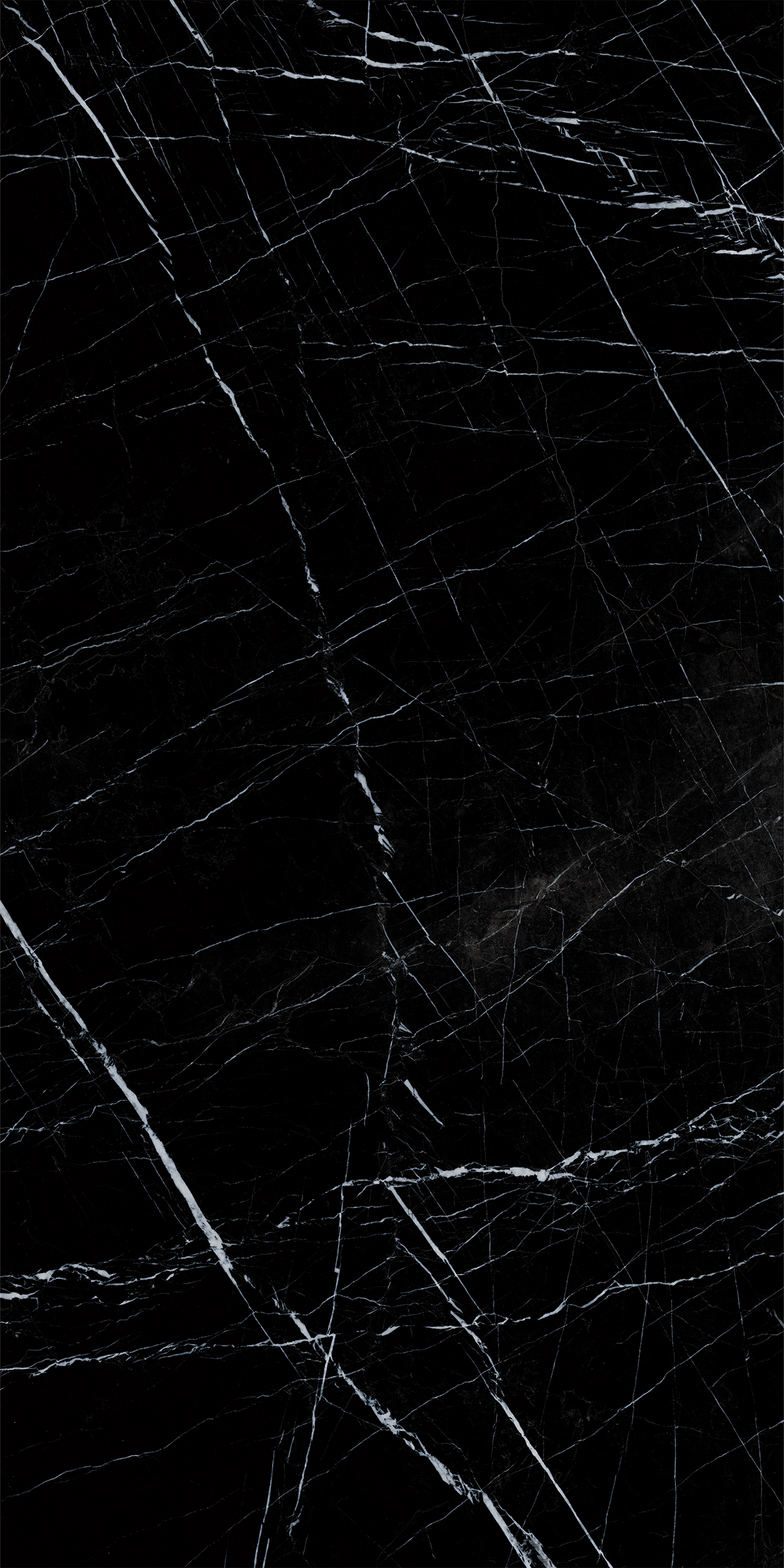 BOSNIA BLACK