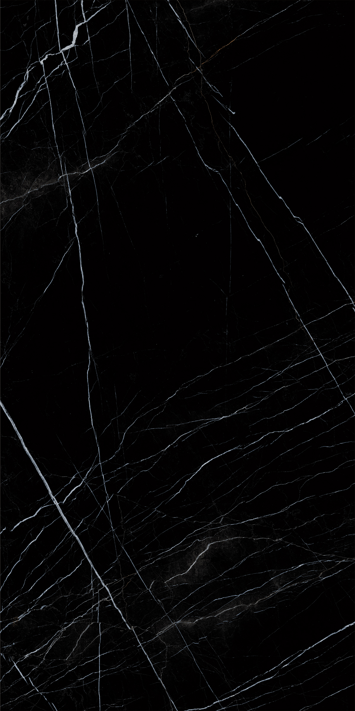 BOSNIA BLACK