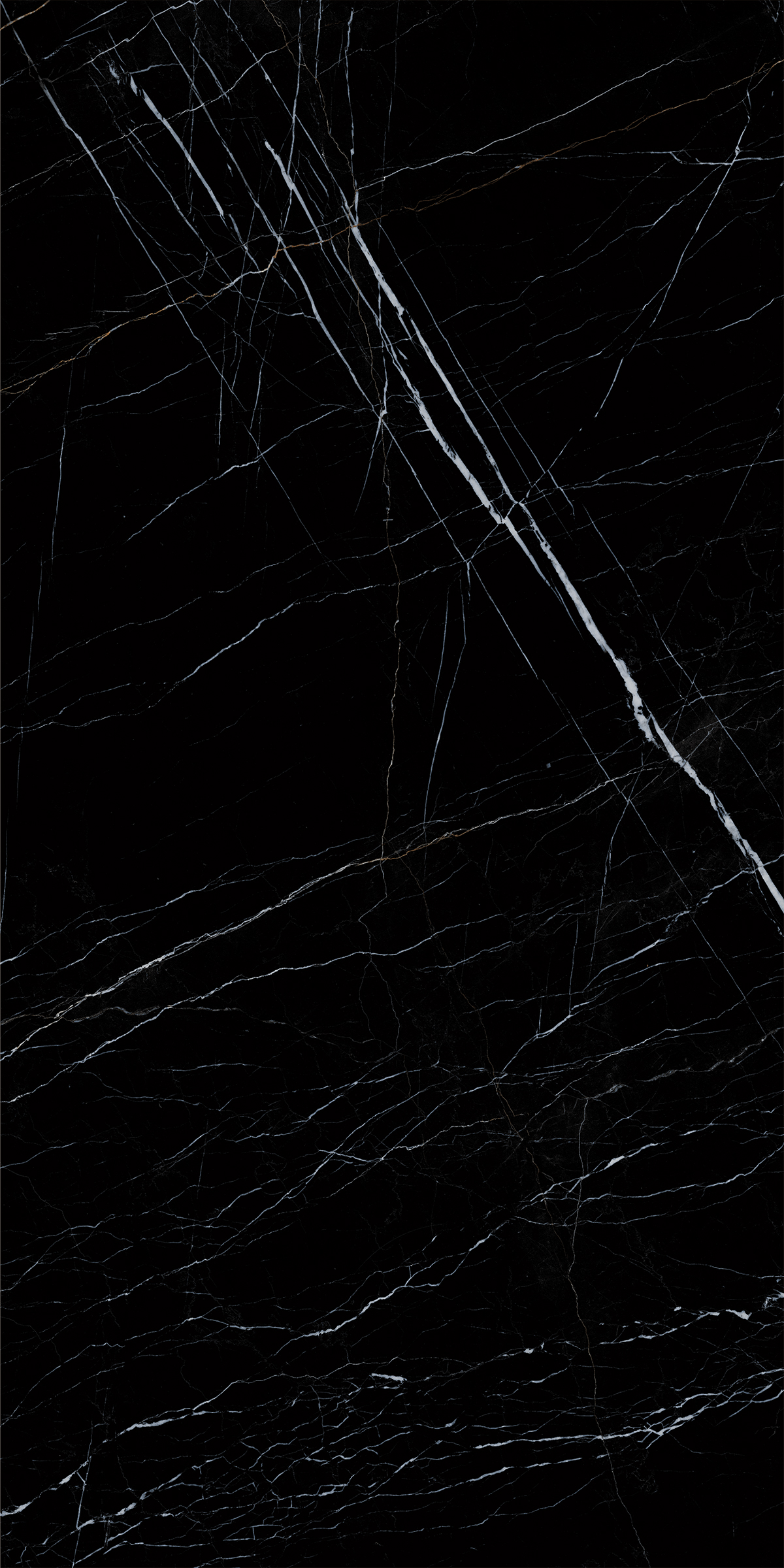 BOSNIA BLACK