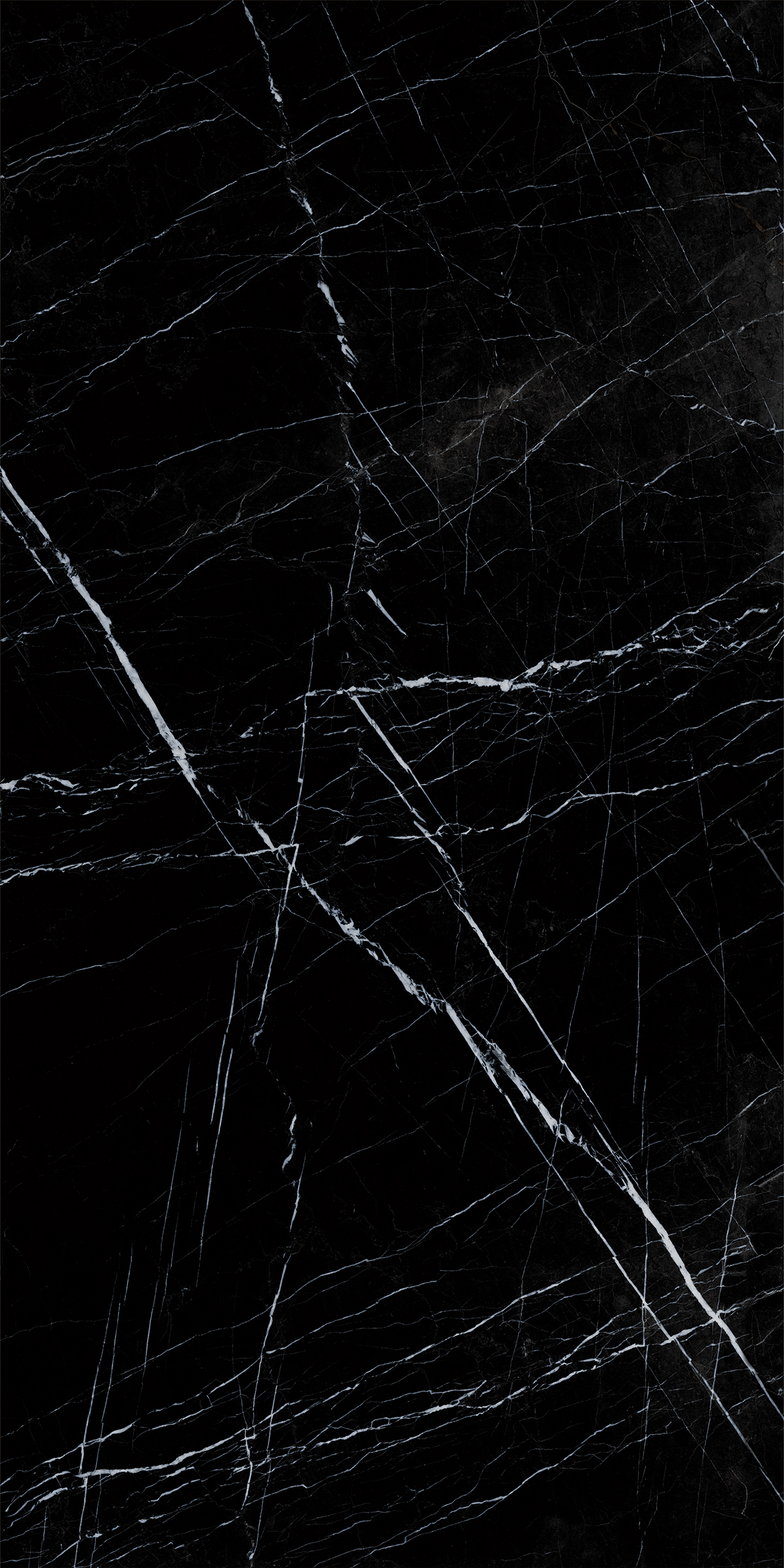 BOSNIA BLACK