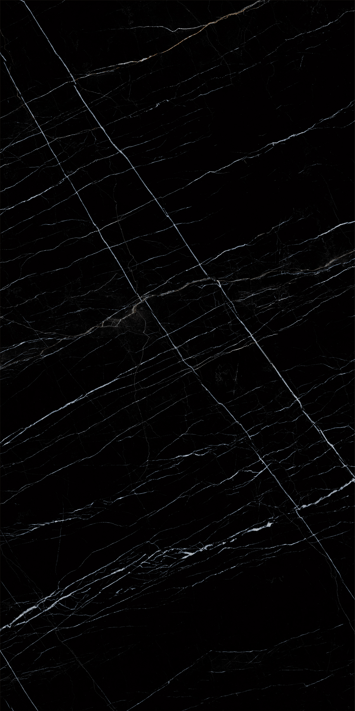 BOSNIA BLACK