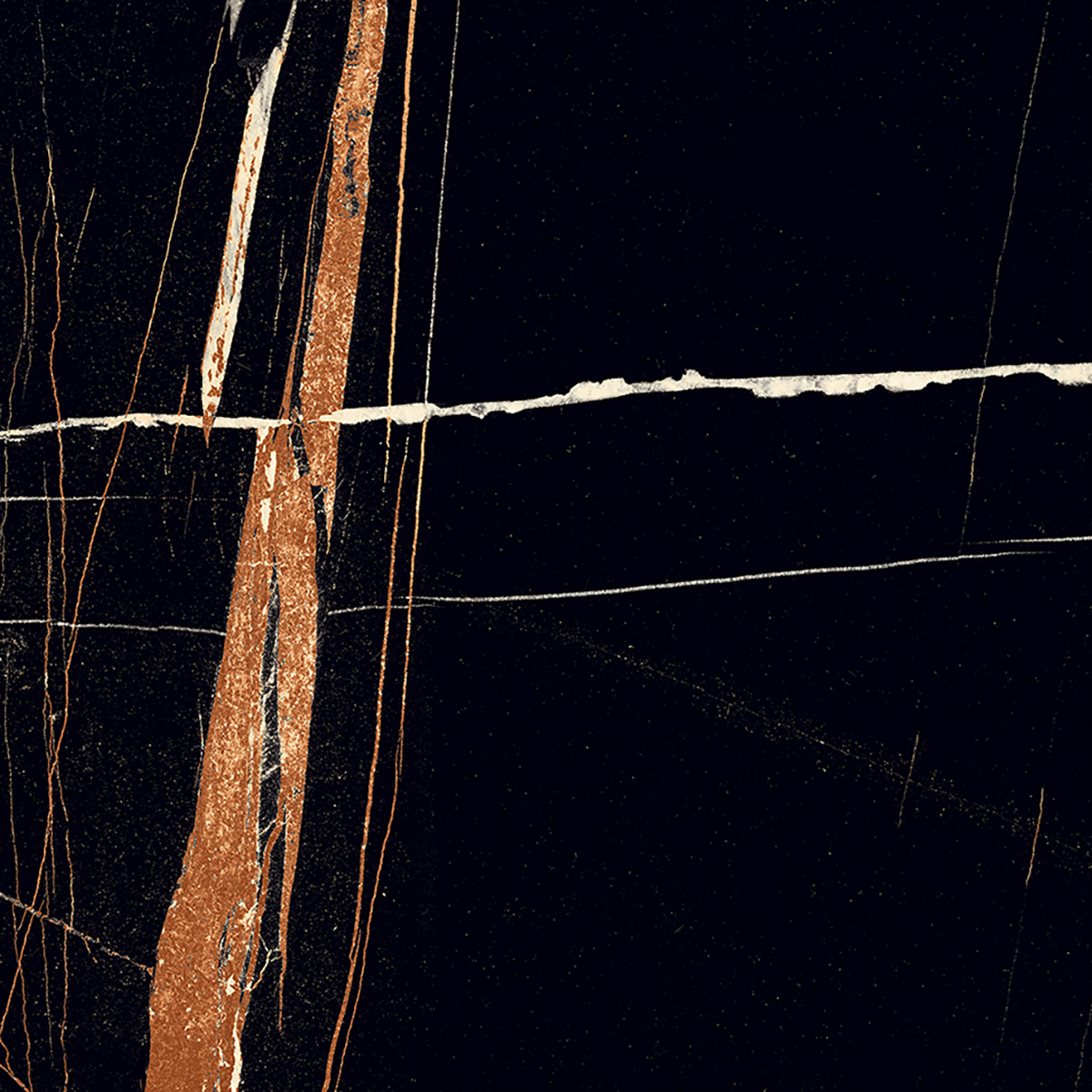 BLACK BEAUTY