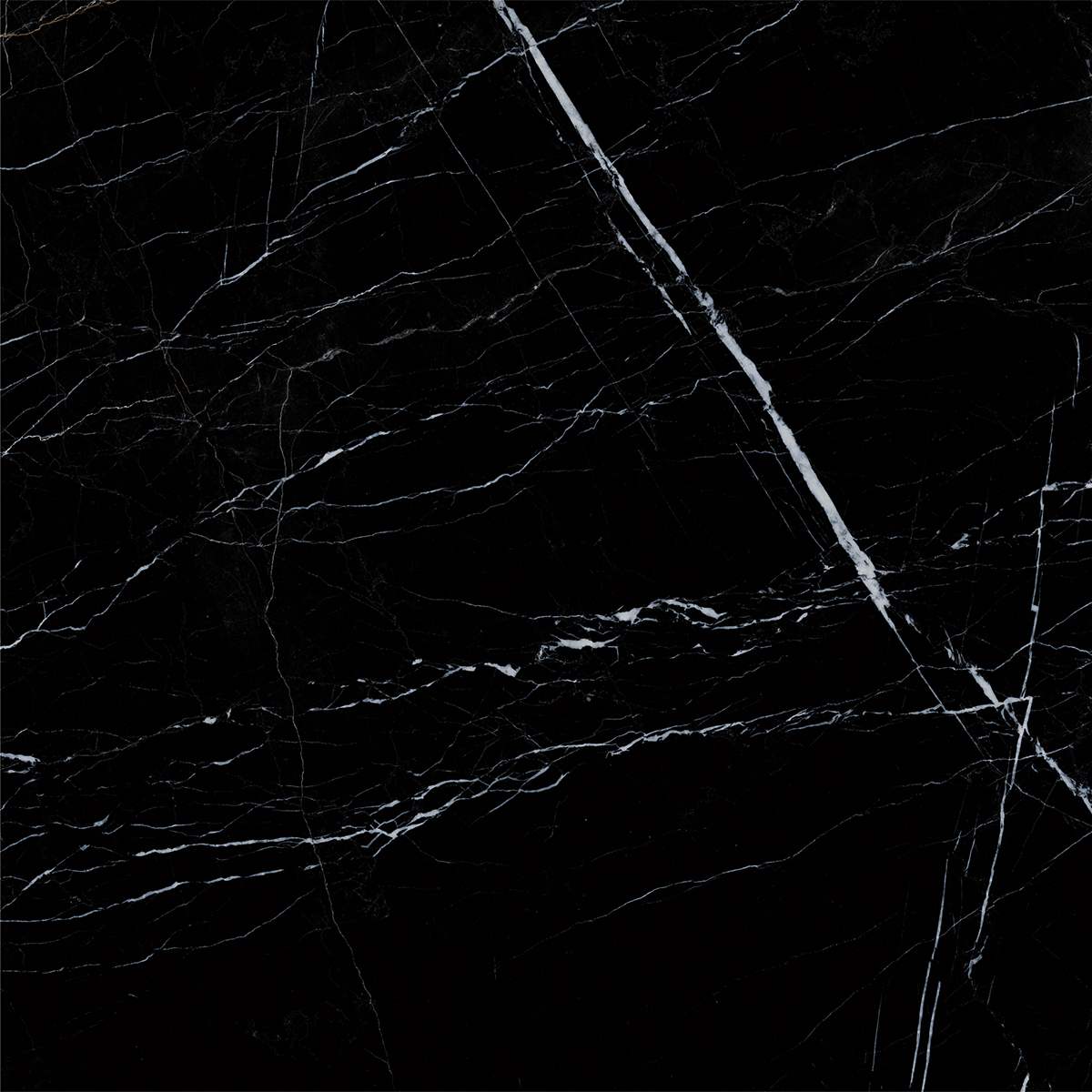 BOSNIA BLACK