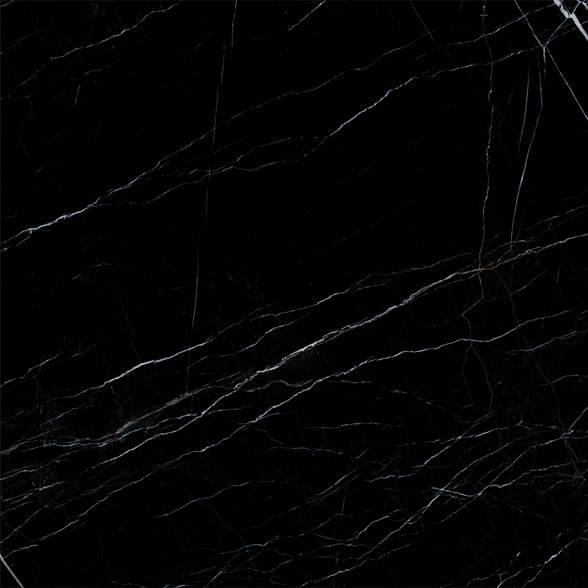 BOSNIA BLACK