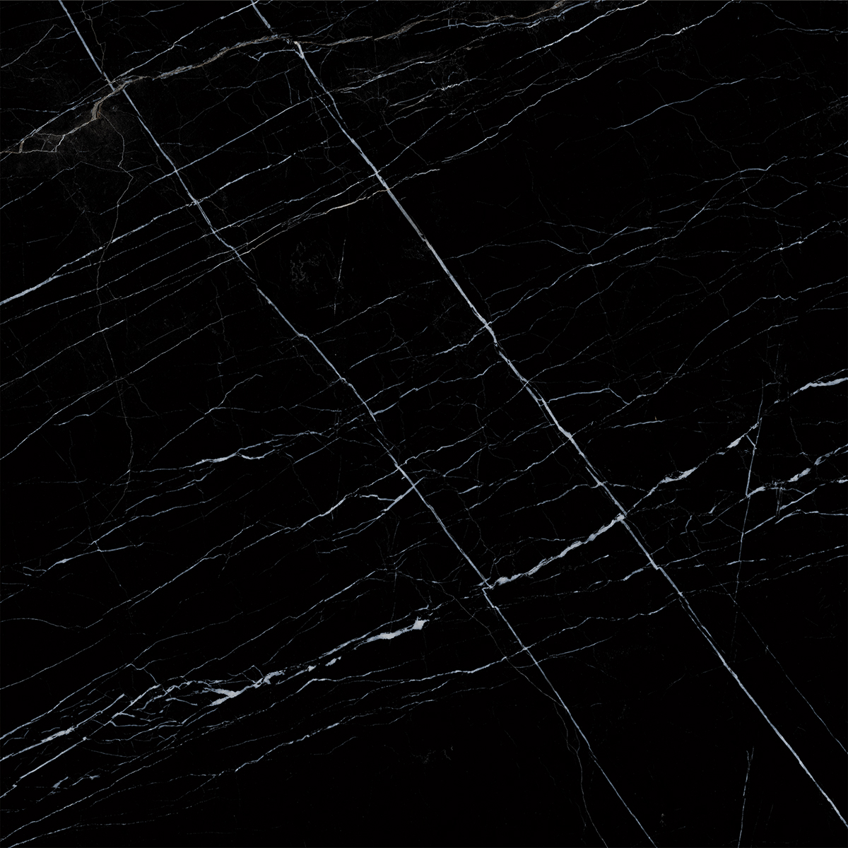 BOSNIA BLACK