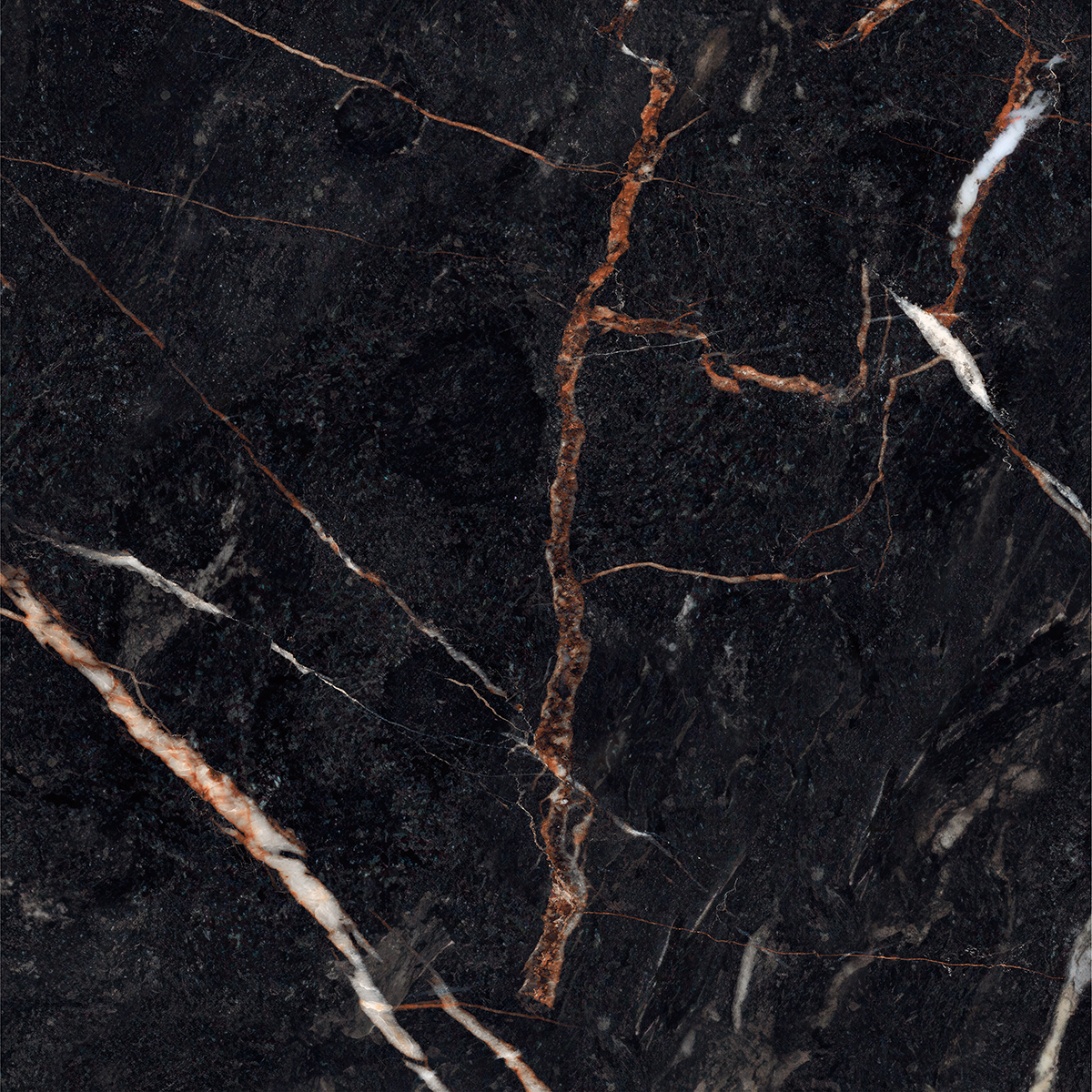 CLONIC BLACK
