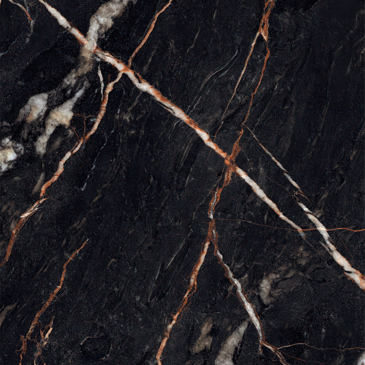 CLONIC BLACK