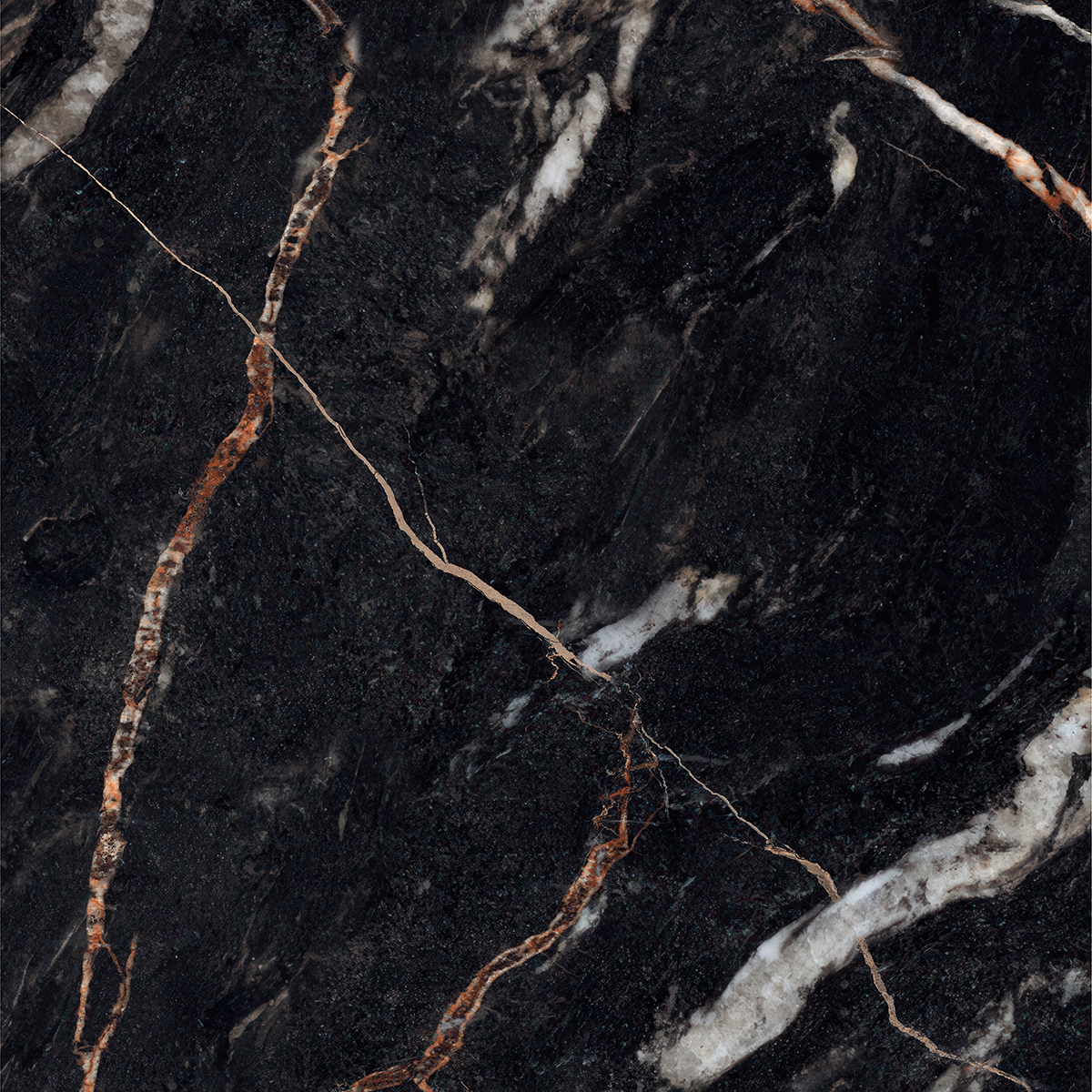 CLONIC BLACK