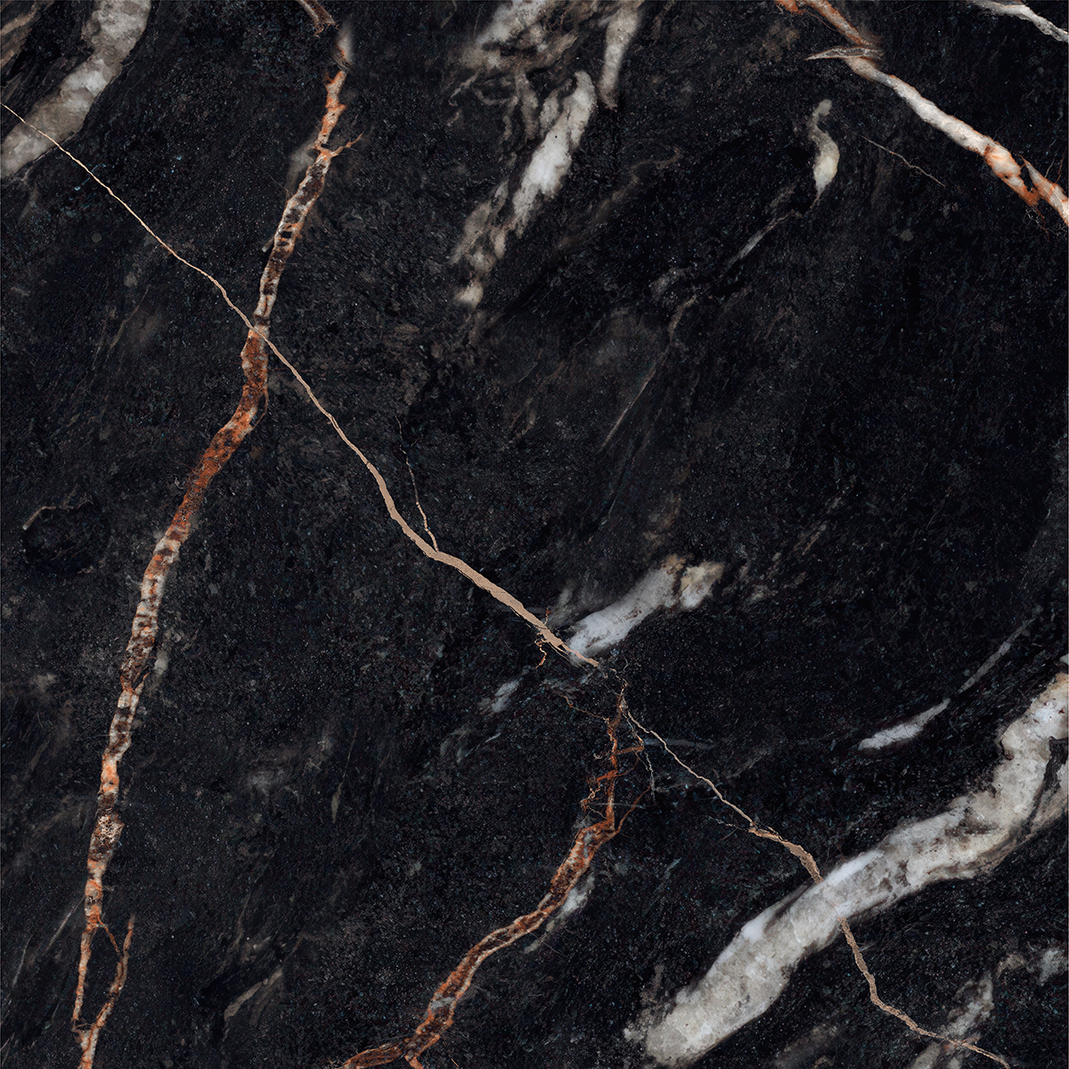CLONIC BLACK