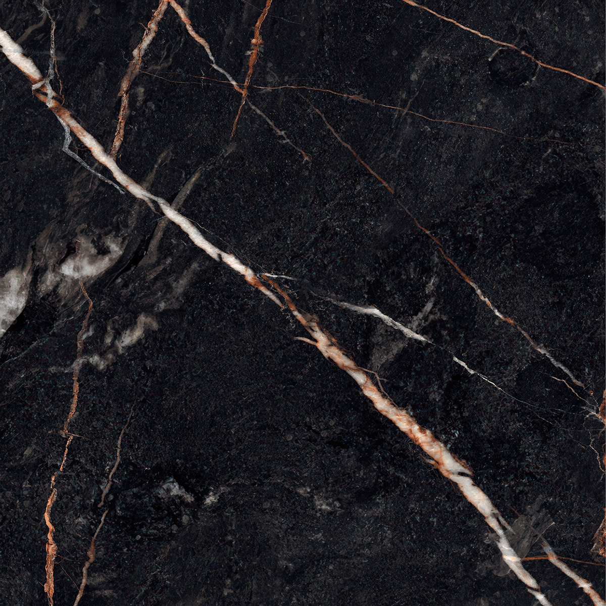 CLONIC BLACK