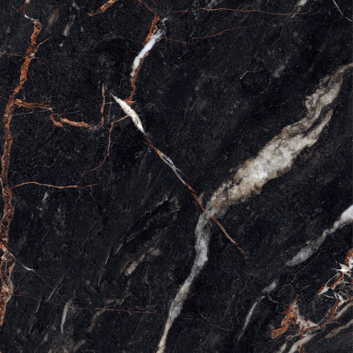 CLONIC BLACK